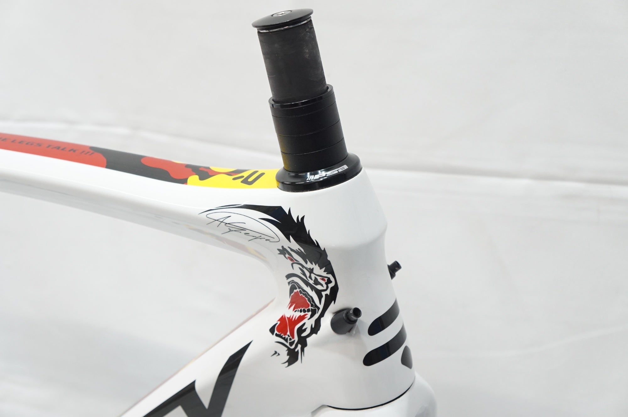 RIDLEY 「リドレー」 FENIX SL DISC 2019年モデル フレームセット / 大宮店