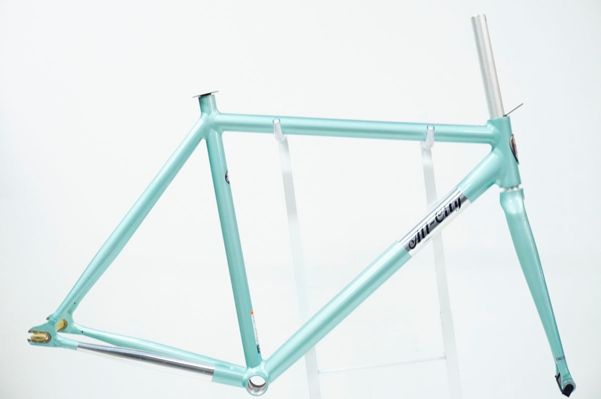 ALL CITY 「オールシティ」 THUNDERDOME 年式不明 フレームセット / 名古屋大須店