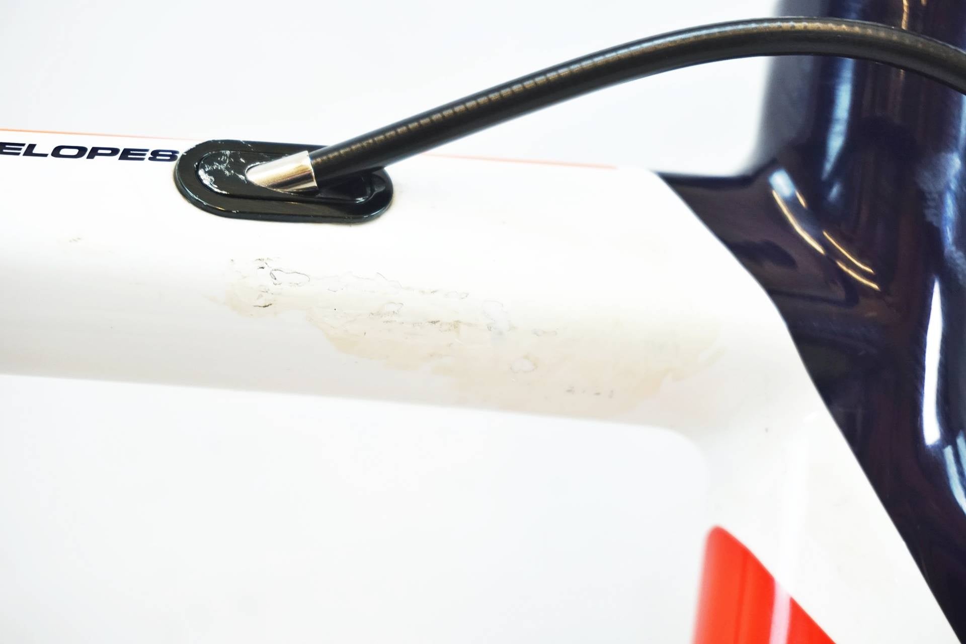 CARRERA 「カレラ」 VELENO TS 2016年モデル ロードバイク / 有明ガーデン店