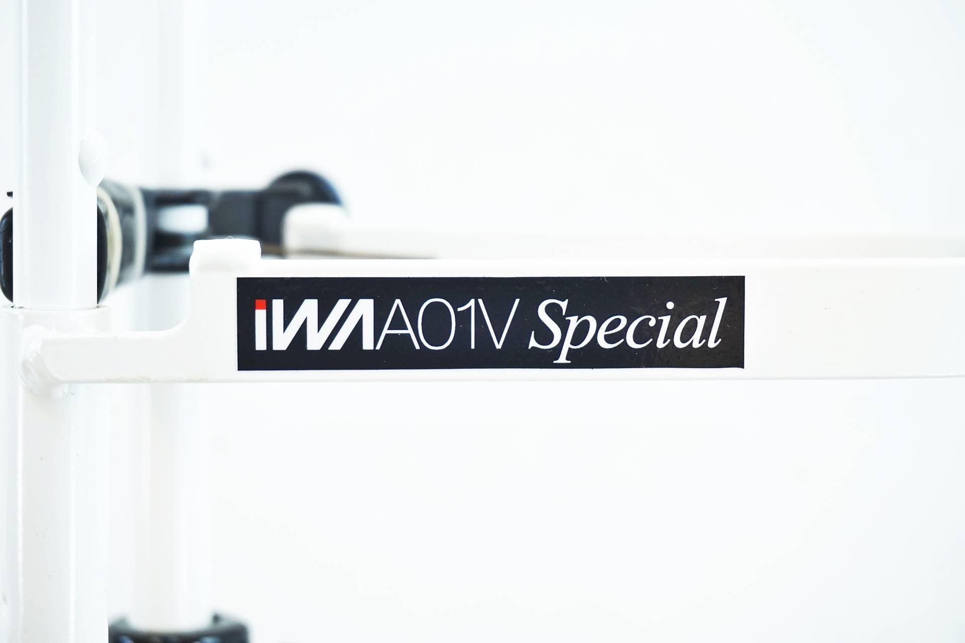 IWA 「イワ」 A01V SPECIAL ディスプレイスタンド / 有明ガーデン店