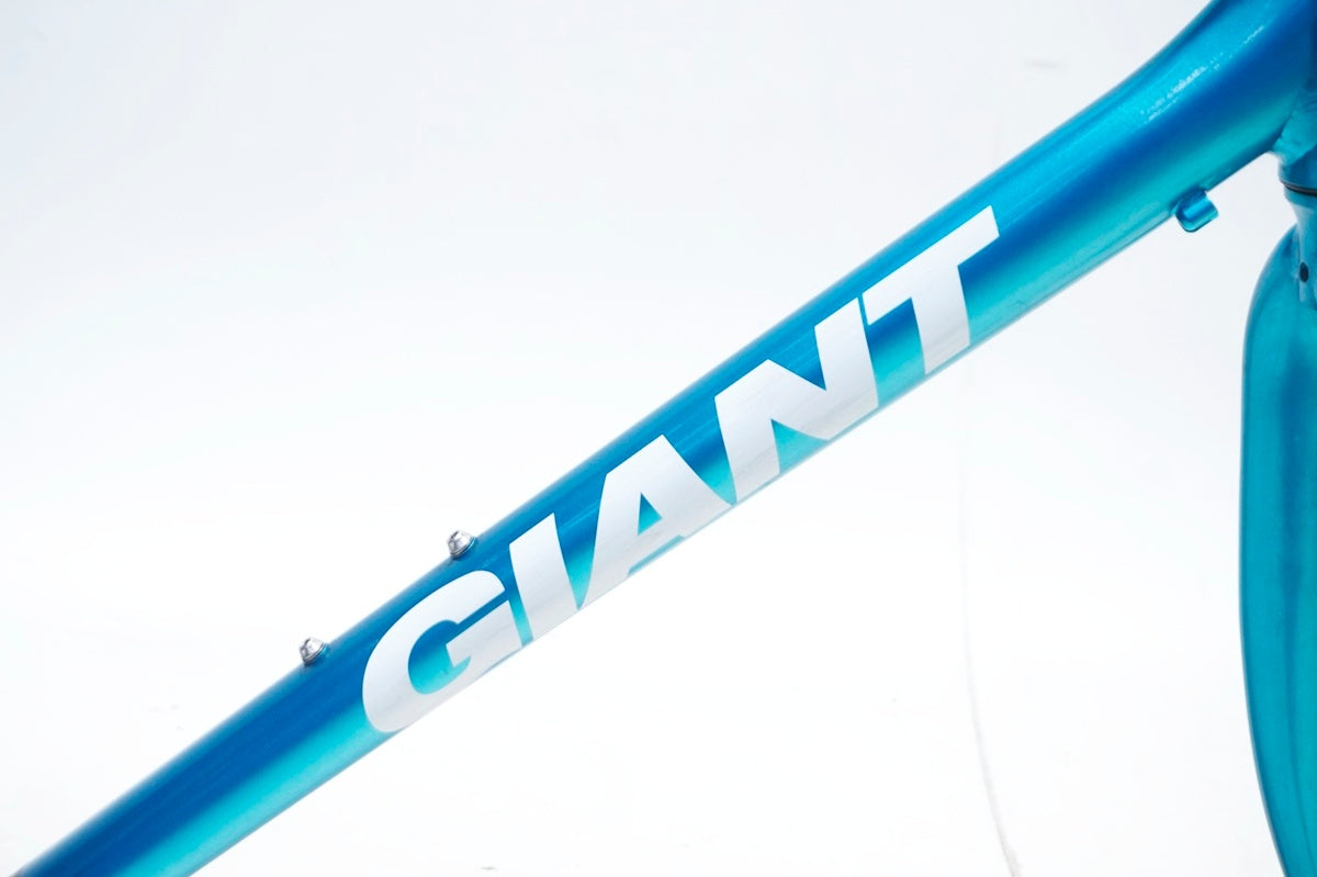 GIANT 「ジャイアント」 ESCAPE R3 2019年頃 フレームセット / 大阪門真店