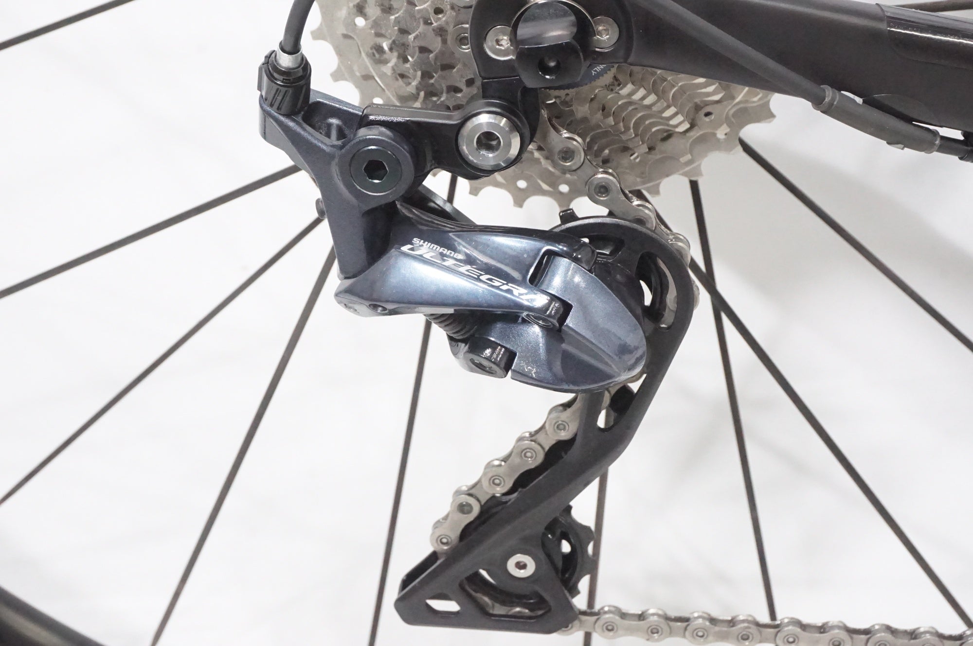 CANYON 「キャニオン」 ENDURACE CF 8.0 2019年モデル ロードバイク / AKIBA店