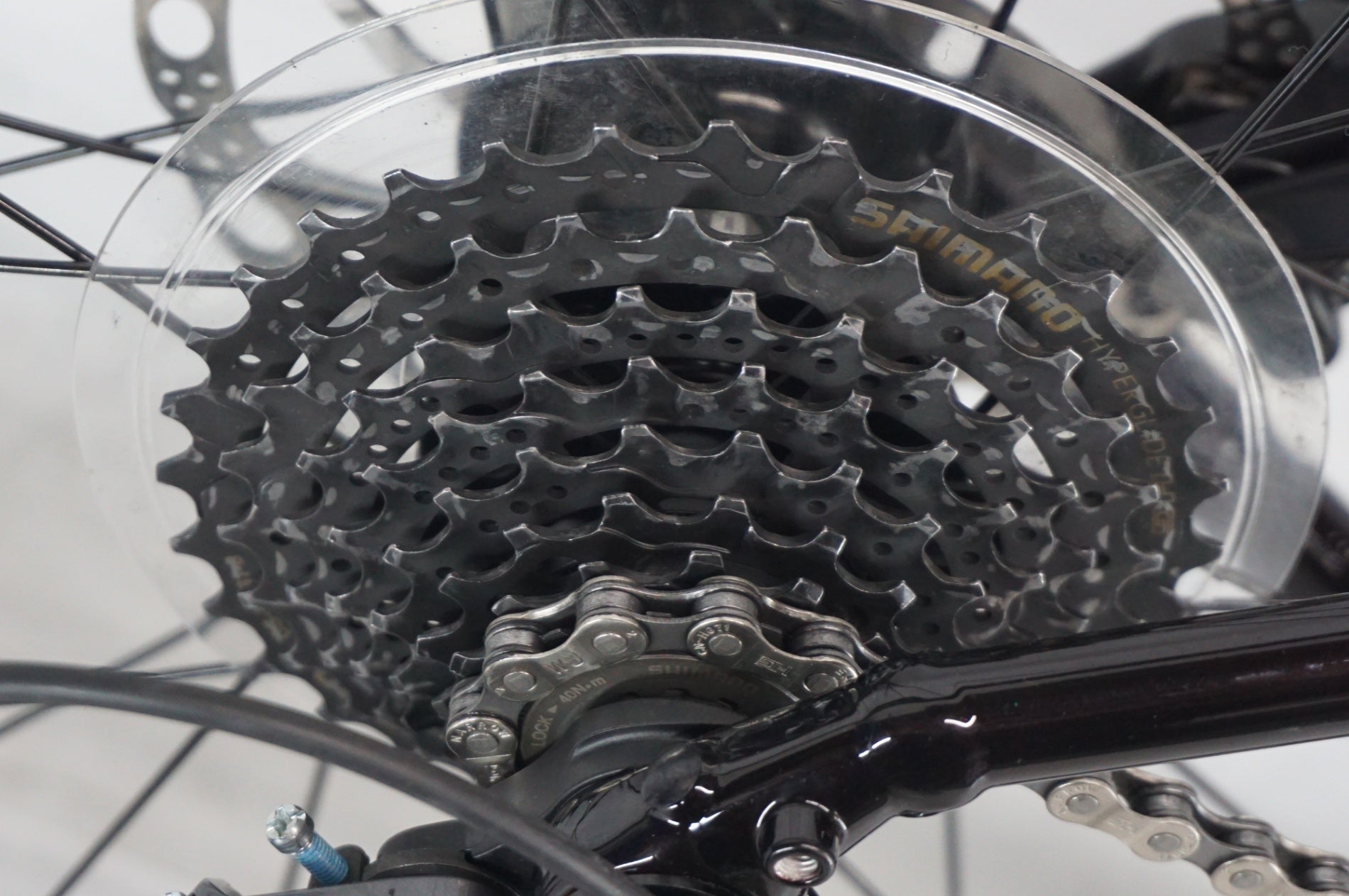 TREK 「トレック」 DOMANE AL 2 GEN 4 2025年モデル ロードバイク / 阪急塚口店