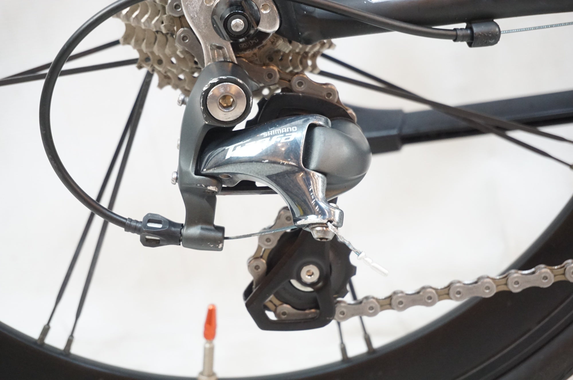 TERN 「ターン」 SURGE PRO DELTA 2019年モデル 20インチ ミニベロ / 浦和ベース
