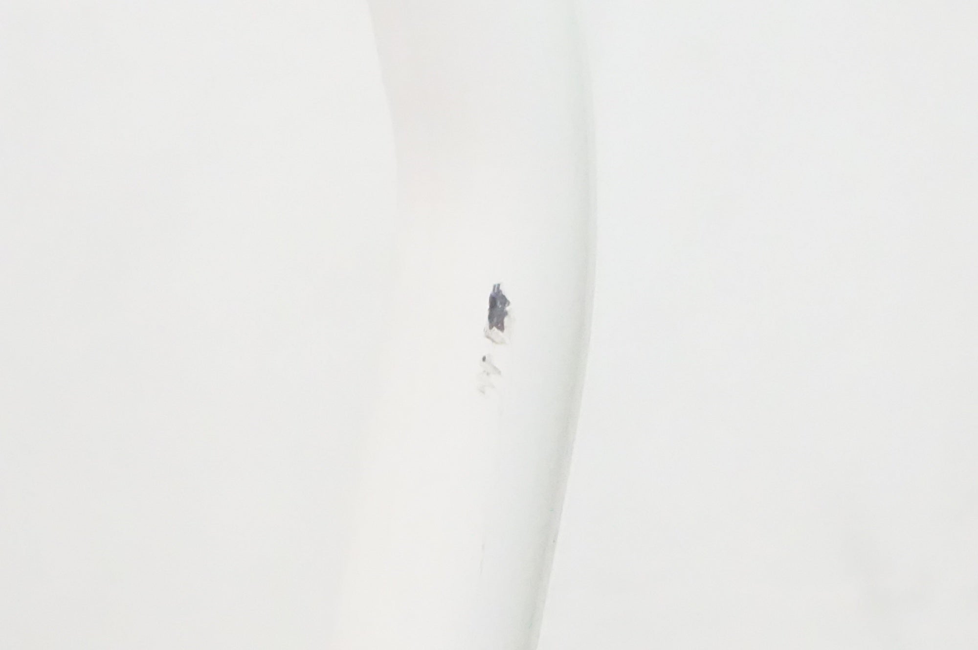 MINOURA 「ミノウラ」 DS-2100 Tancho E'sse ディスプレイスタンド / 熊谷本店