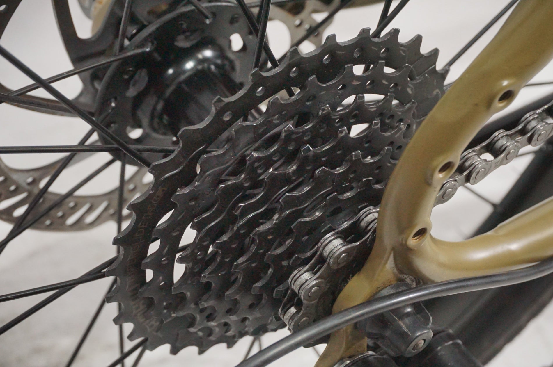 TERN 「ターン」 AMP F1 2023年モデル 20インチ ミニベロ / AKIBA店