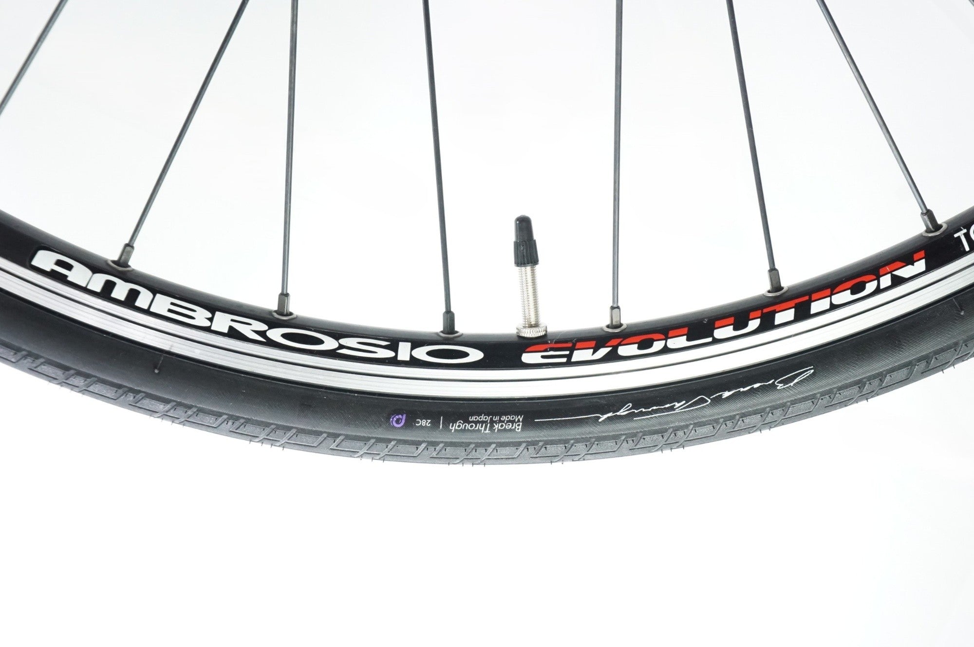 TOYO FRAME 「トーヨーフレーム」 THE PARK PIST 2019年モデル ピストバイク / 中目黒店