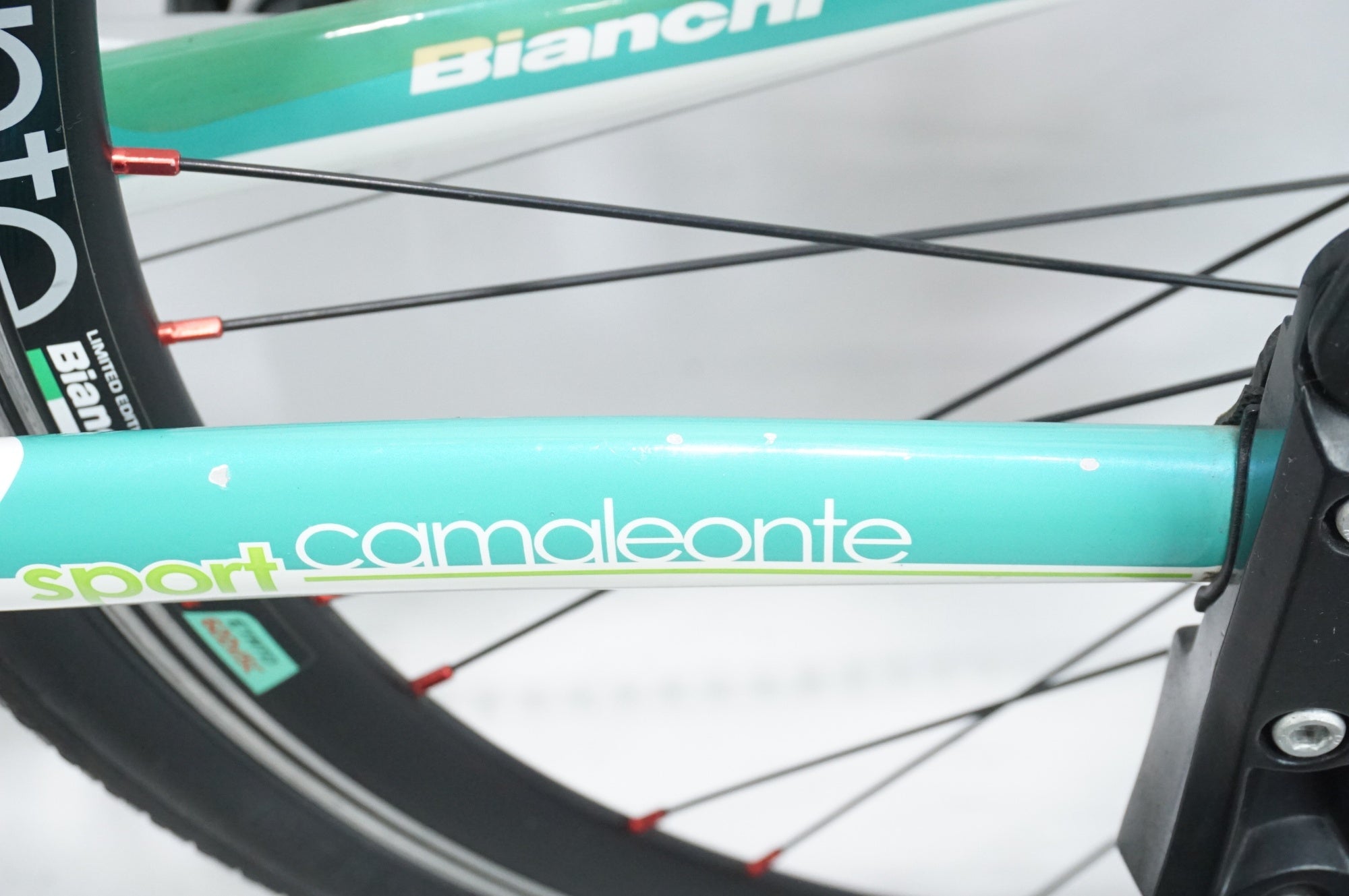 BIANCHI 「ビアンキ」 CAMALEONTE SPORT DUE 2013年モデル クロスバイク / 中目黒店