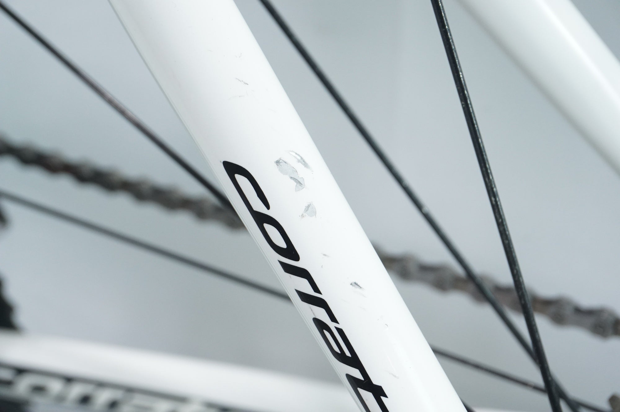 CORRATEC 「コラテック」 DOLOMITI 2016年モデル ロードバイク / 中目黒店