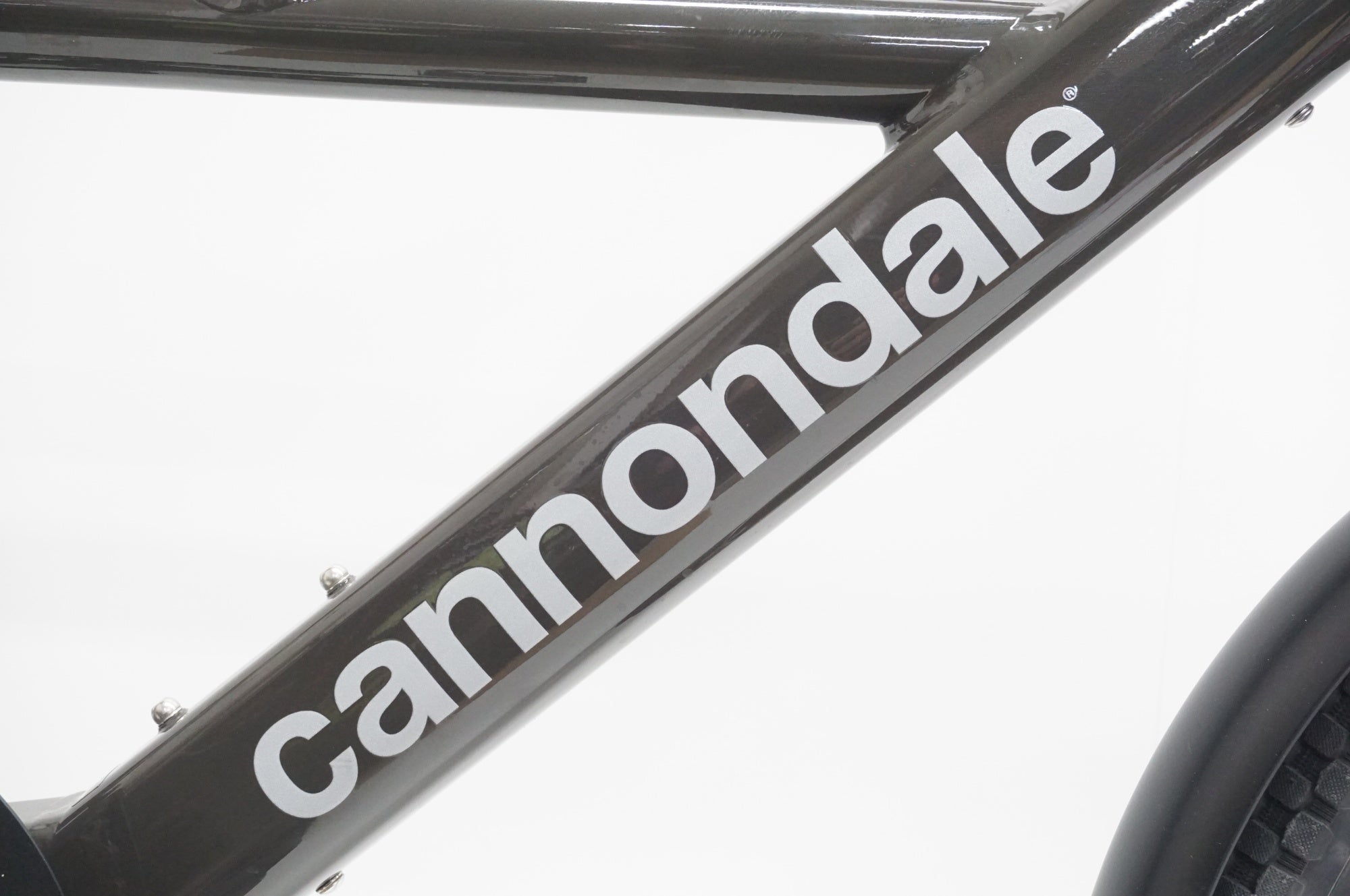 CANNONDALE 「キャノンデール」 COMPACT NEO 2023年モデル E-BIKE / 福岡店