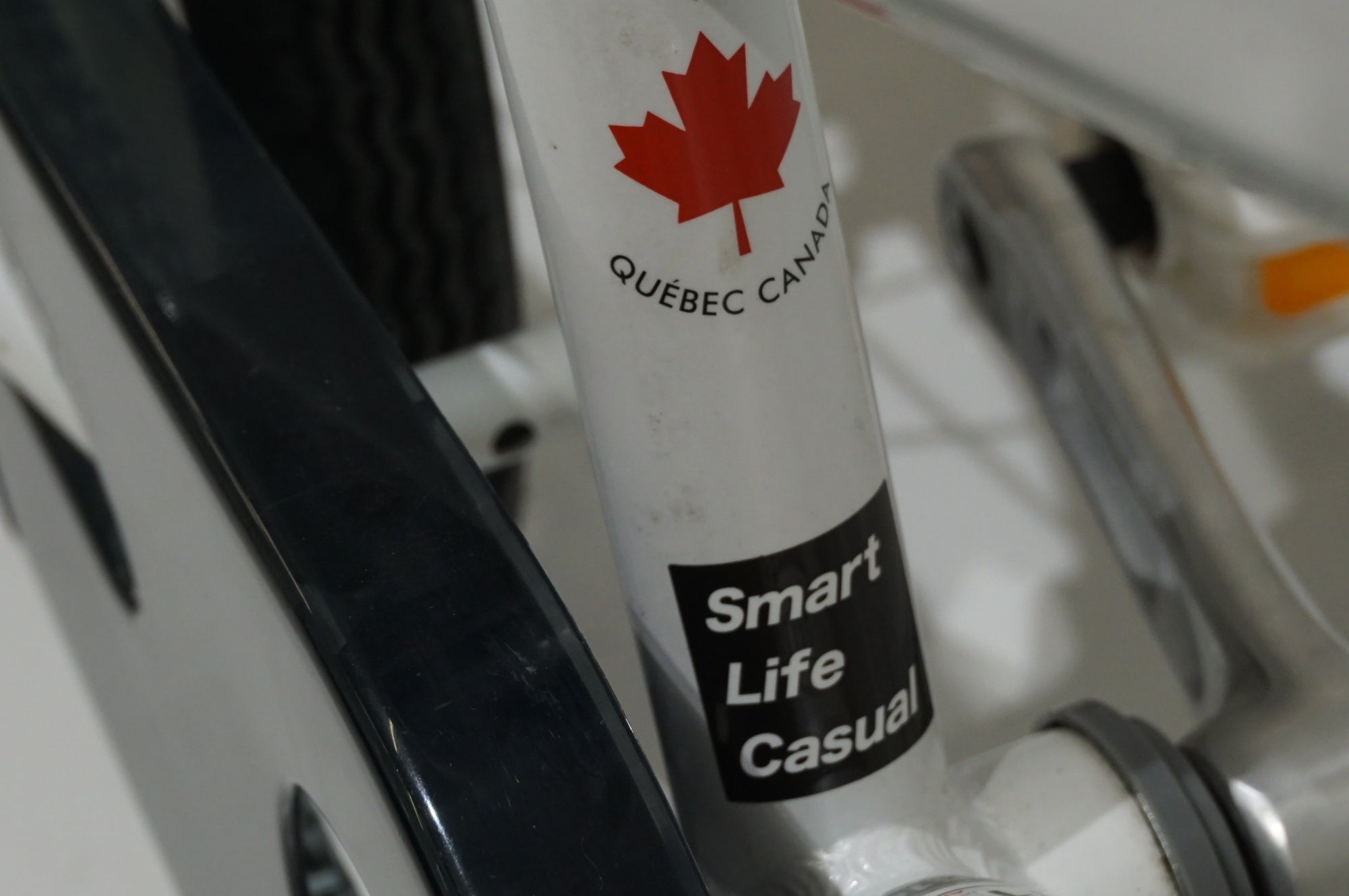 LOUIS GARNEAU 「ルイガノ」 LOUIS GARNEAU LGS-J16 2021年モ頃デル キッズバイク / 浜松店