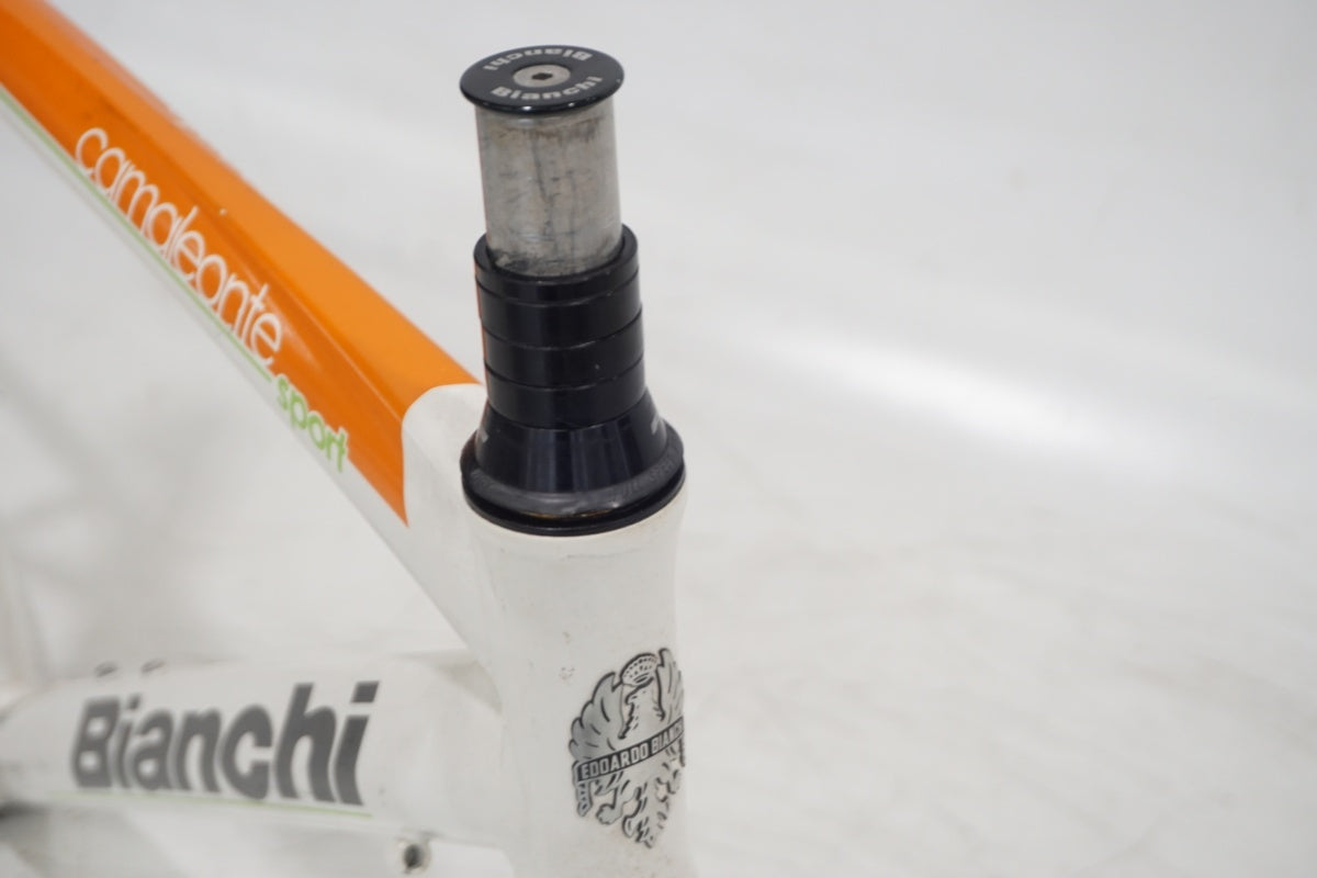 BIANCHI 「ビアンキ」 CAMELEONTE SPORT DUE 2013年モデル フレームセット / 滋賀大津店