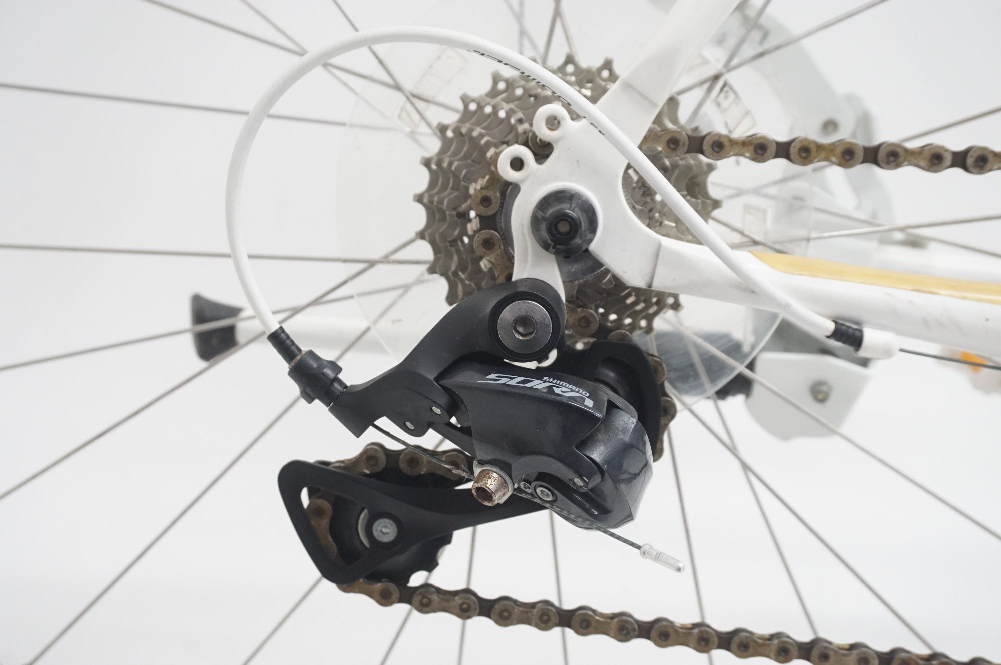 MASI 「マジィ」 CAFFE RACER UNO RISER 2017年頃 クロスバイク / 福岡店