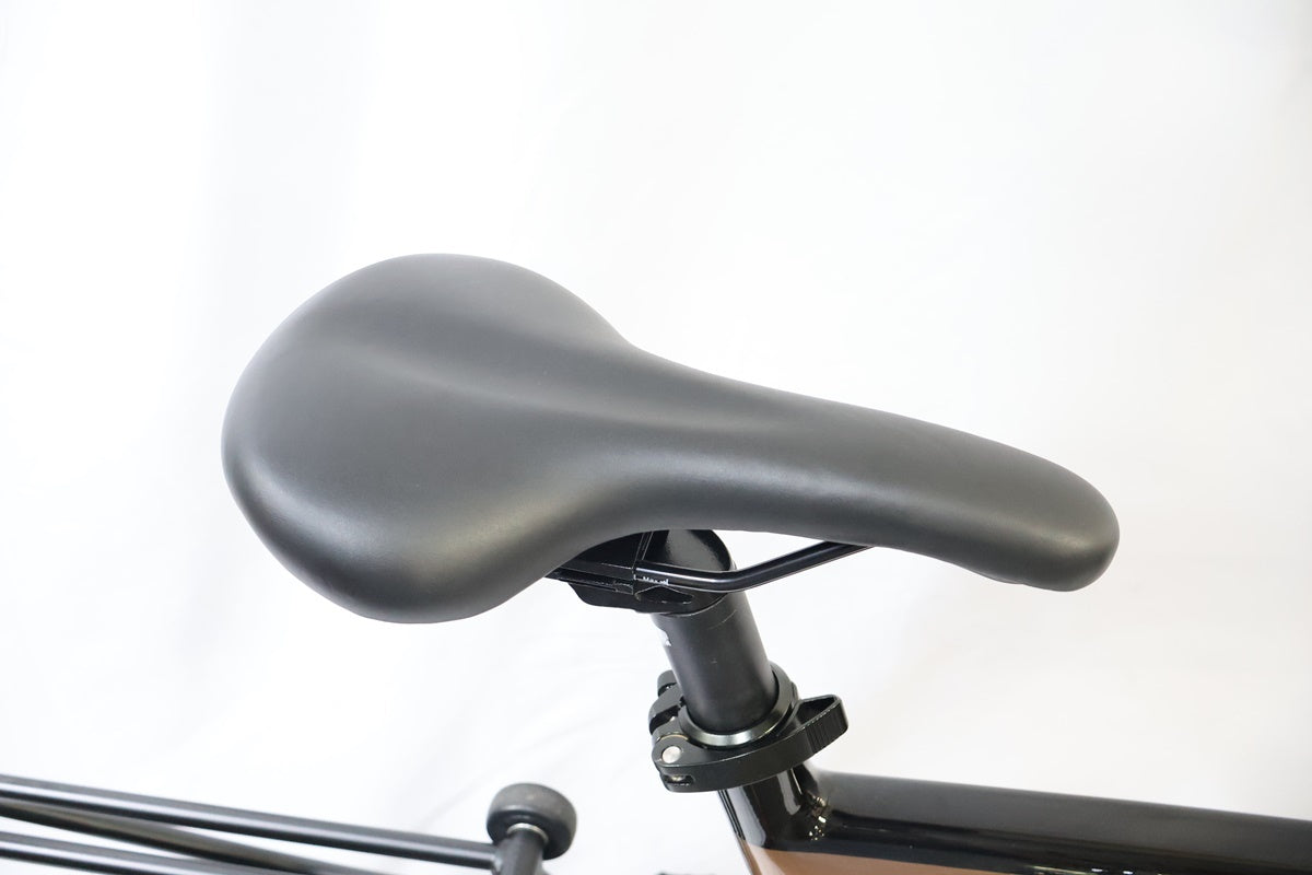 BESV 「ベスビー」 PSF1 2020年モデル 電動アシスト自転車 / 高知店