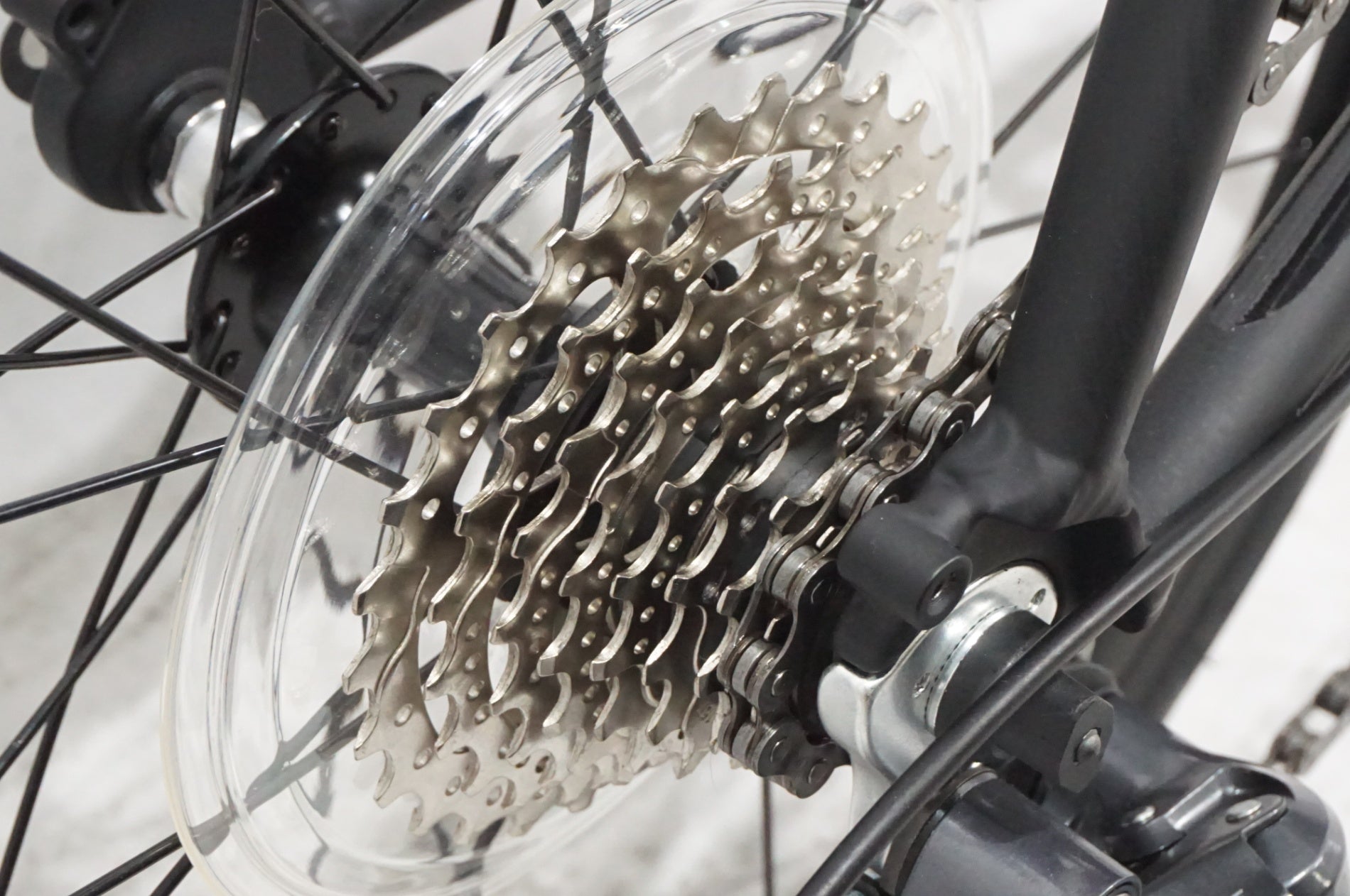 TERN 「ターン」 SURGE 2025年モデル 20インチ ミニベロ / AKIBA店