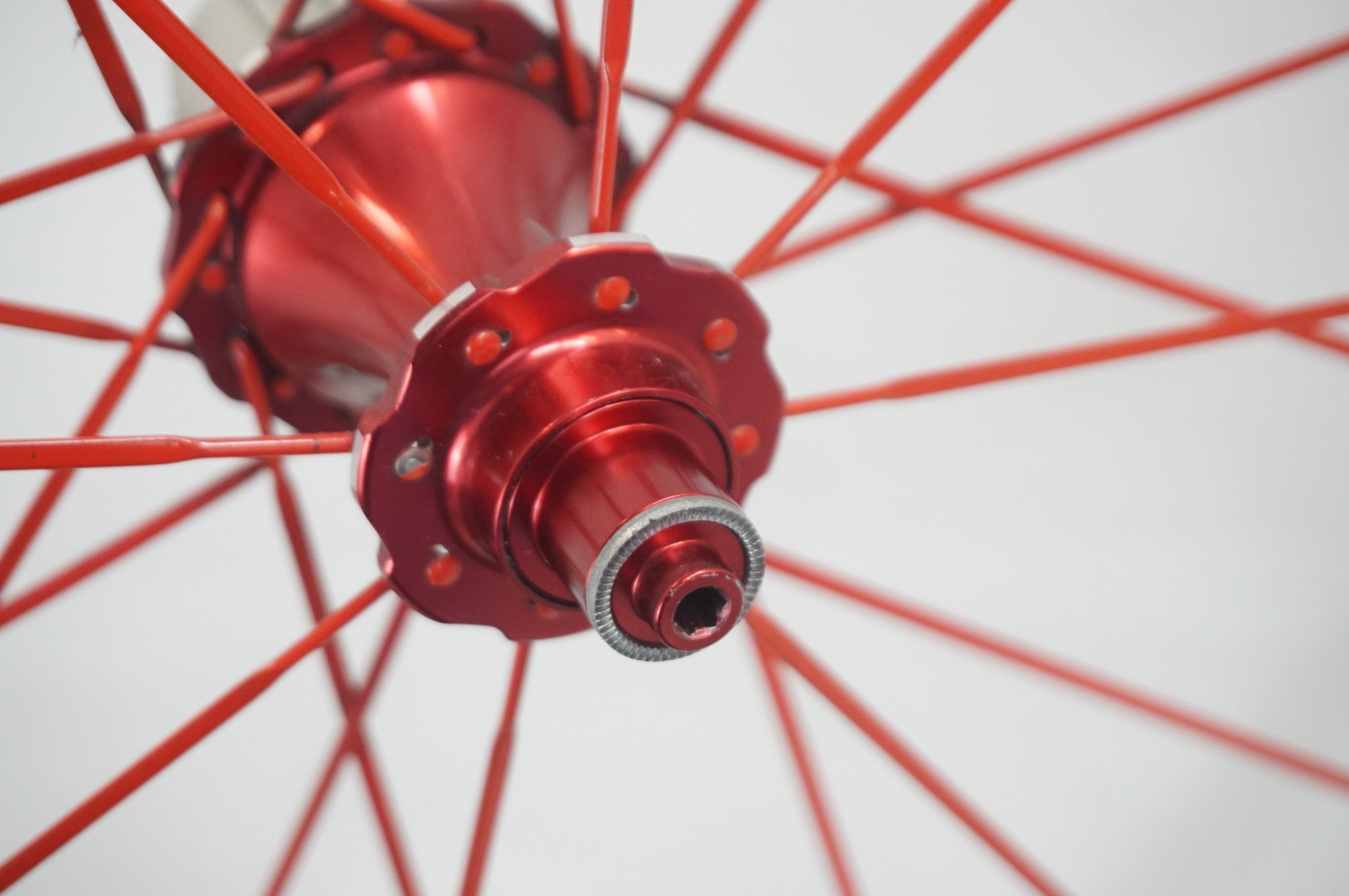 AVEDIO 「エヴァディオ」 CX22 シマノ11速 ホイールセット / 福岡店