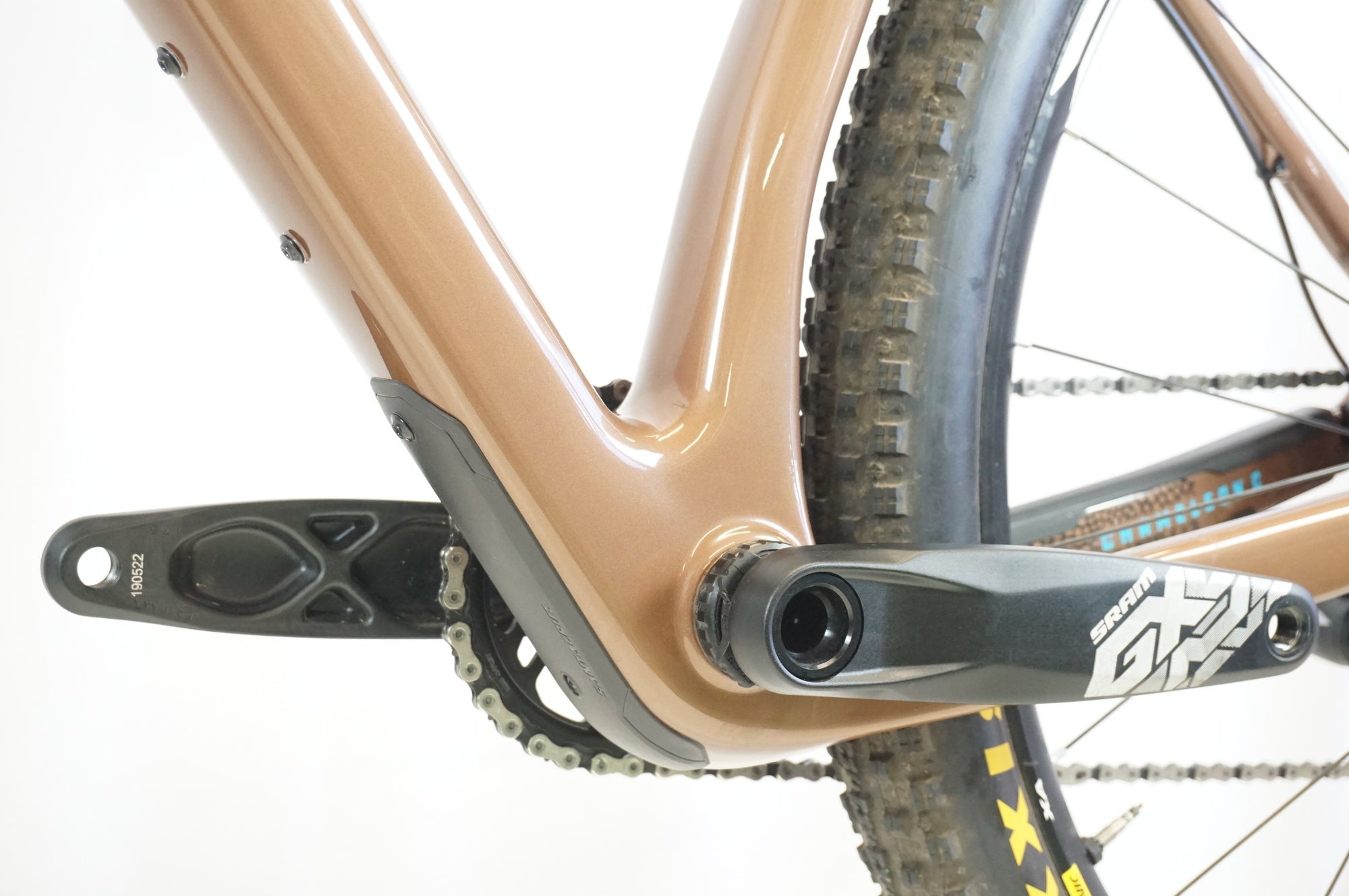 SANTA CRUZ 「サンタクルーズ」 CAMELEON CARBON 2019年モデル 29インチ マウンテンバイク / 宇都宮店