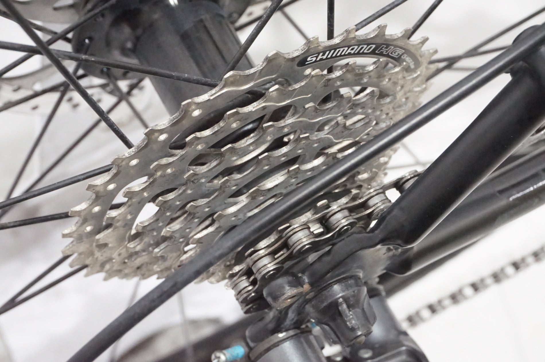 JAMIS 「ジェイミス」 RENEGADE EXPAT 2019年モデル グラベルロード / AKIBA店