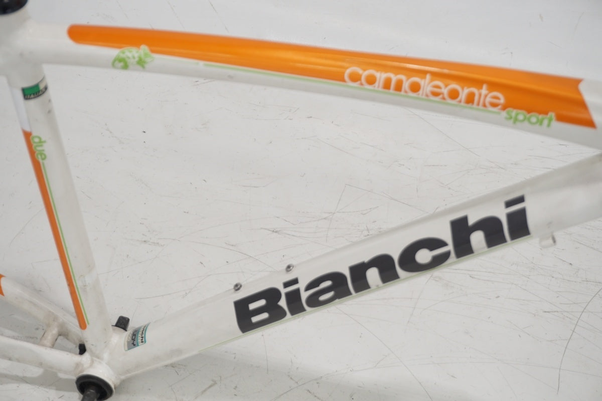 BIANCHI 「ビアンキ」 CAMELEONTE SPORT DUE 2013年モデル フレームセット / 滋賀大津店