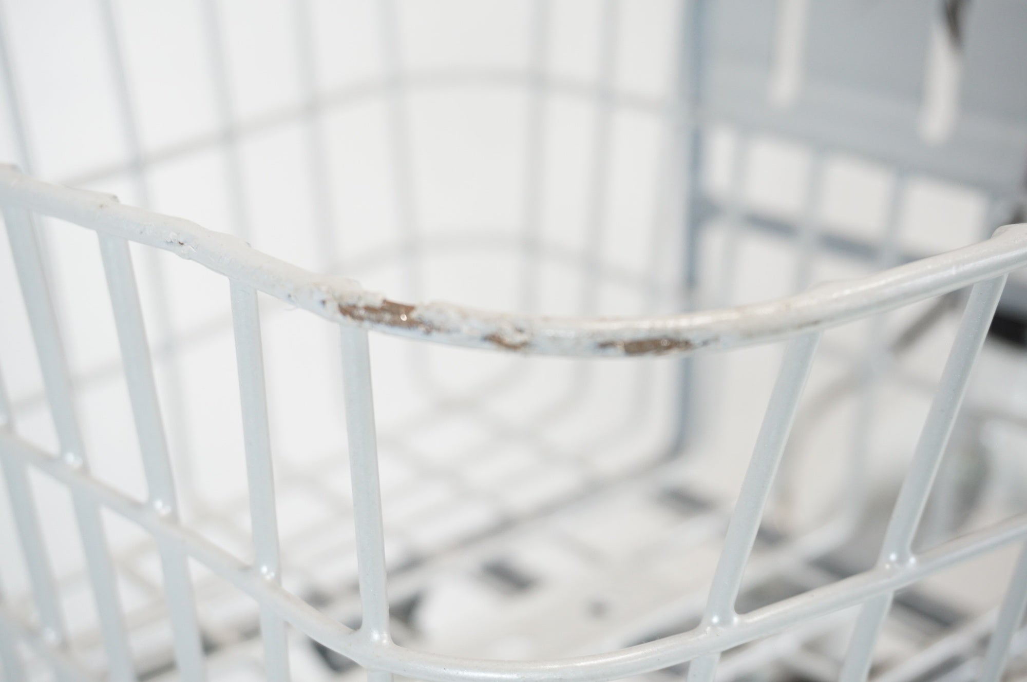 MARIN 「マリン」 DONKY JR 22 2020年モデル キッズバイク / 宇都宮店