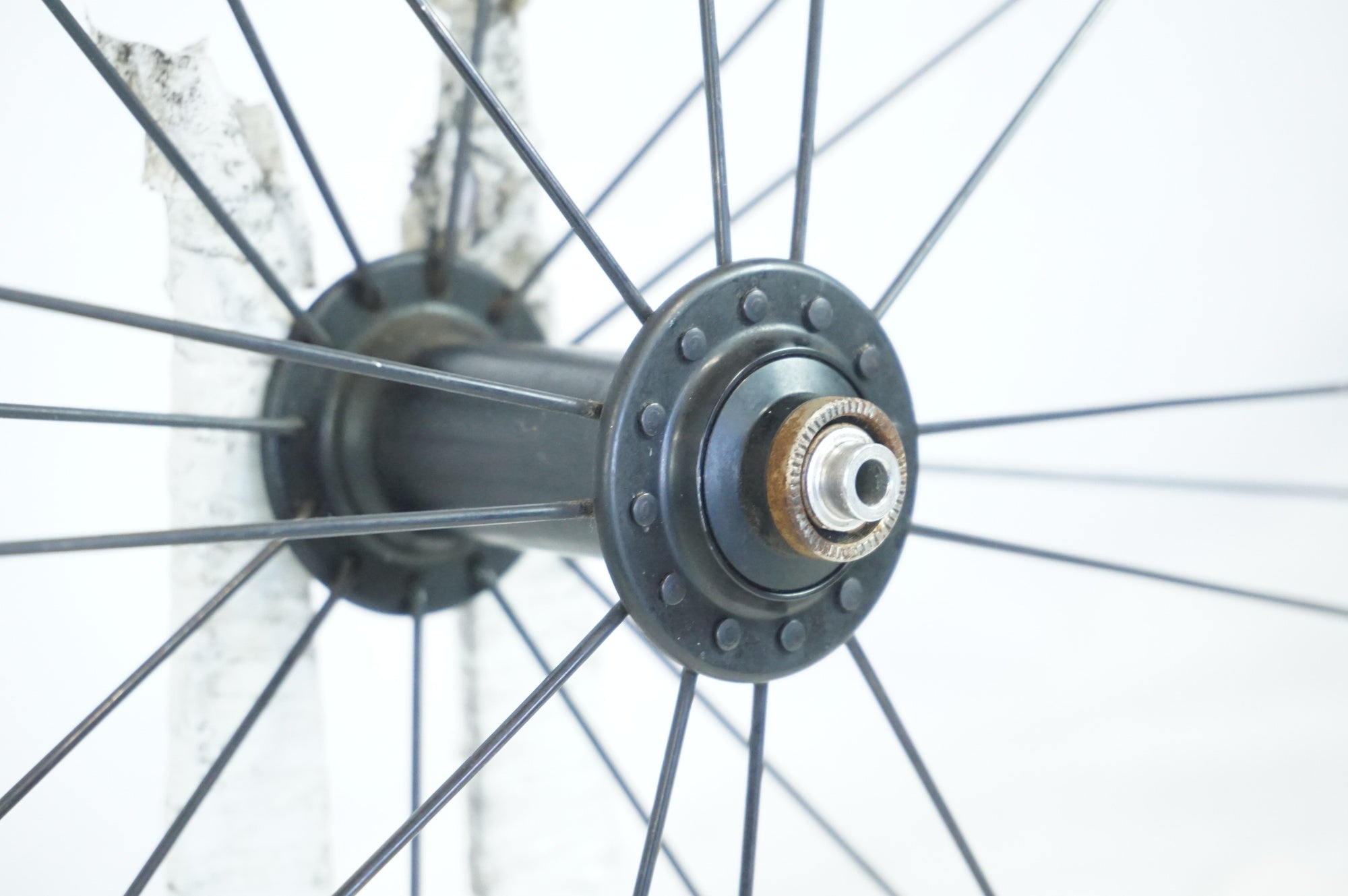 MOST 「モスト」 WILDCAT F3 SHIMANO 10s ホイールセット / 宇都宮店