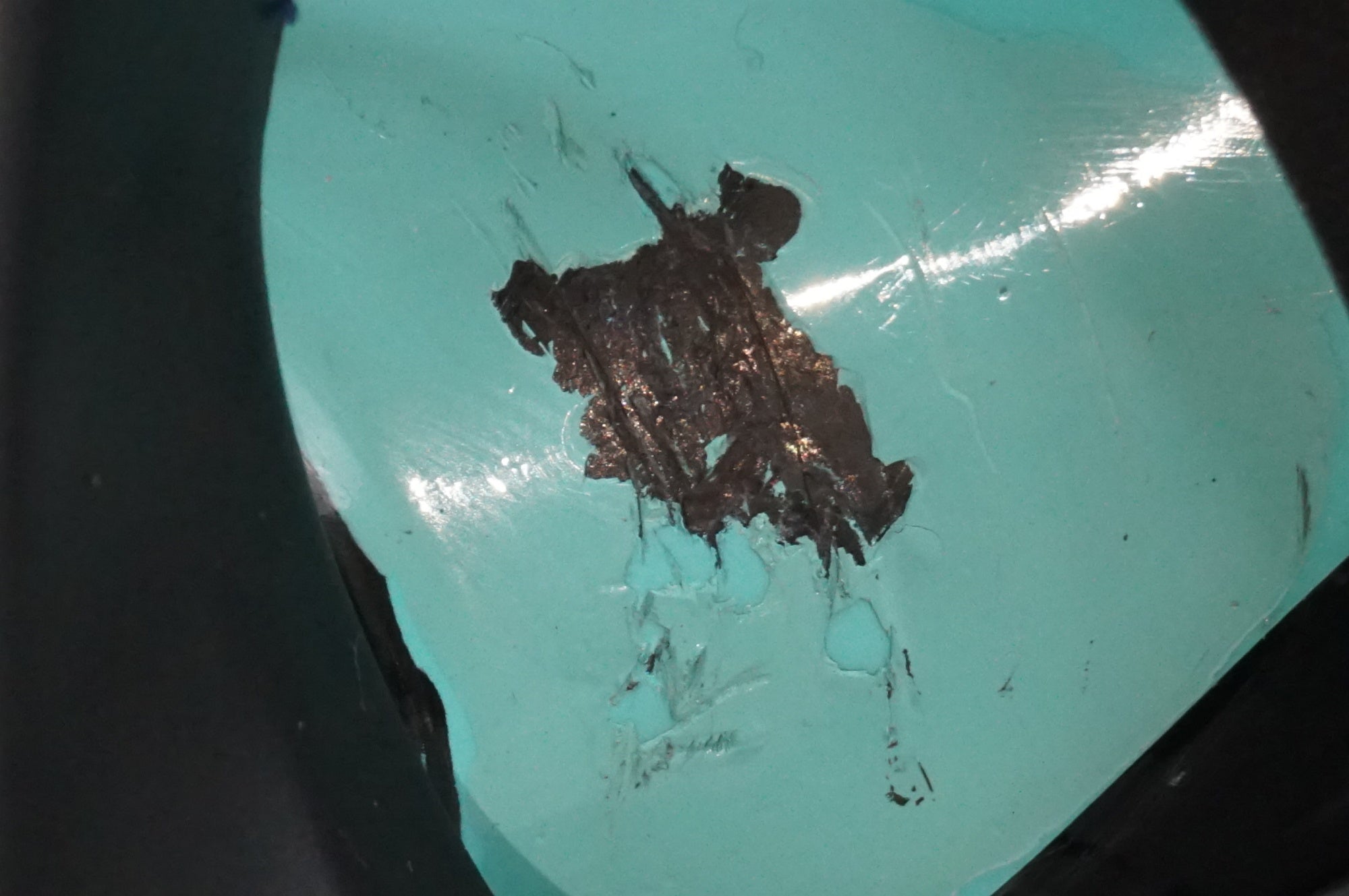 BIANCHI 「ビアンキ」 INFINITO CV DISC 2021年モデル ロードバイク / 大宮店