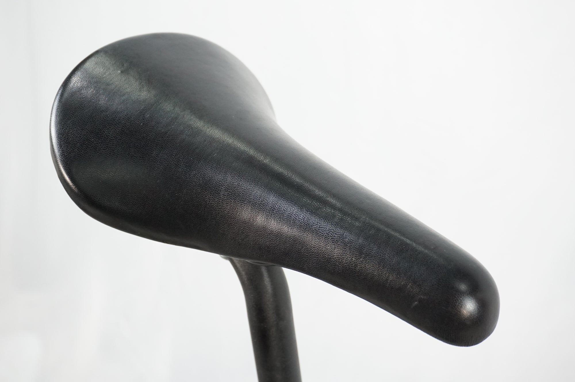 TERN 「ターン」 AMP F1 2025年モデル ミニベロ/ 川越店