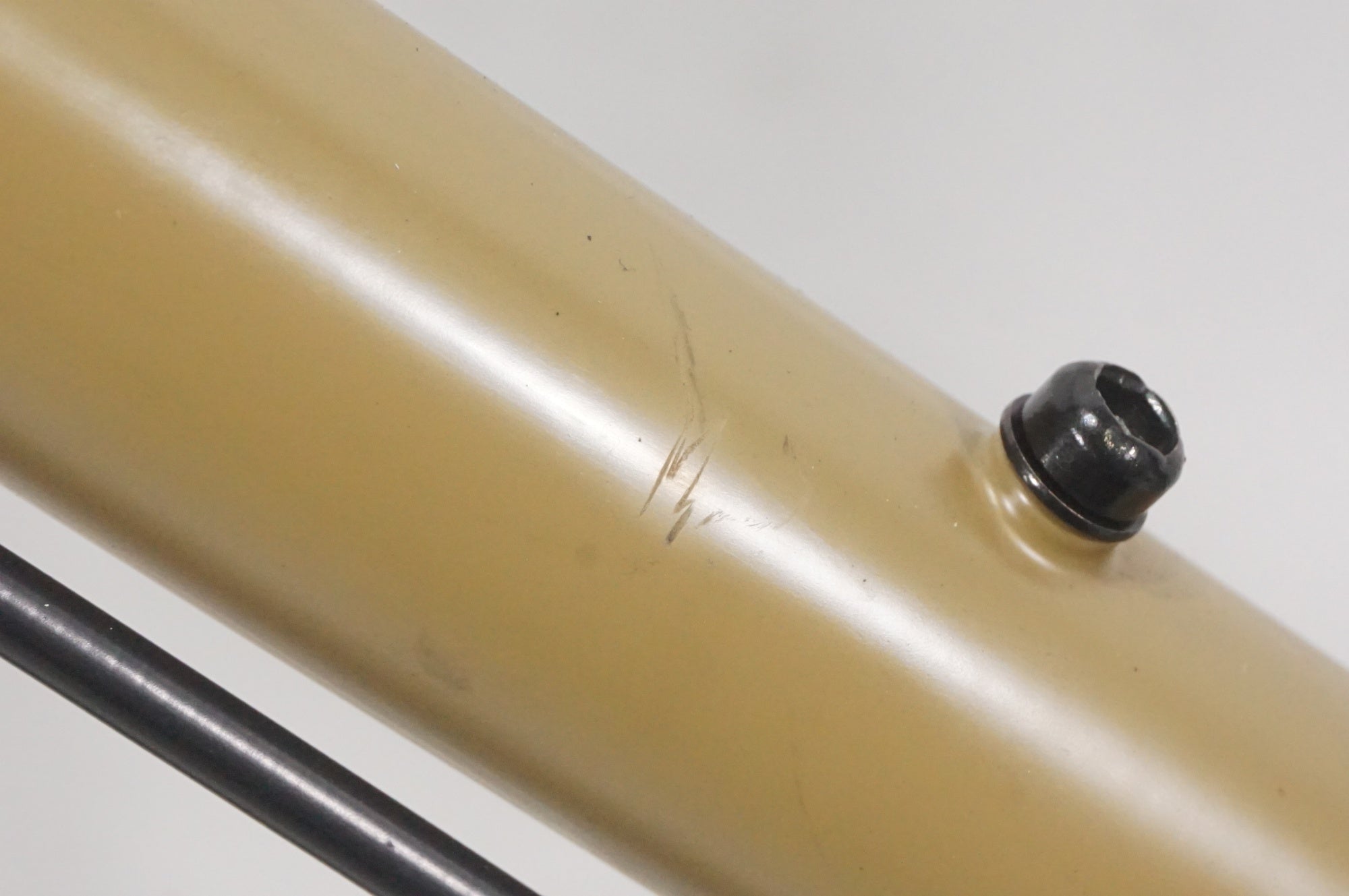 TERN 「ターン」 AMP F1 2023年モデル 20インチ ミニベロ / AKIBA店