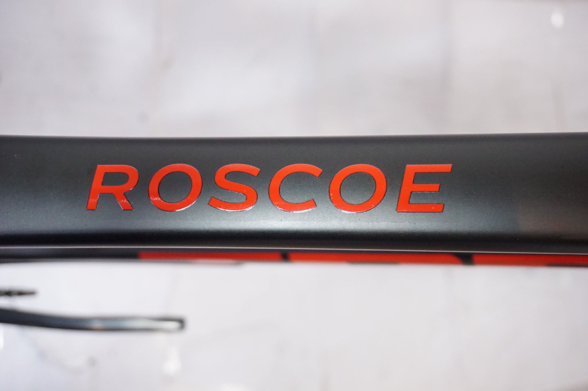 TREK 「トレック」 ROSCOE8 2023-2024年モデル マウンテンバイク / 世田谷店