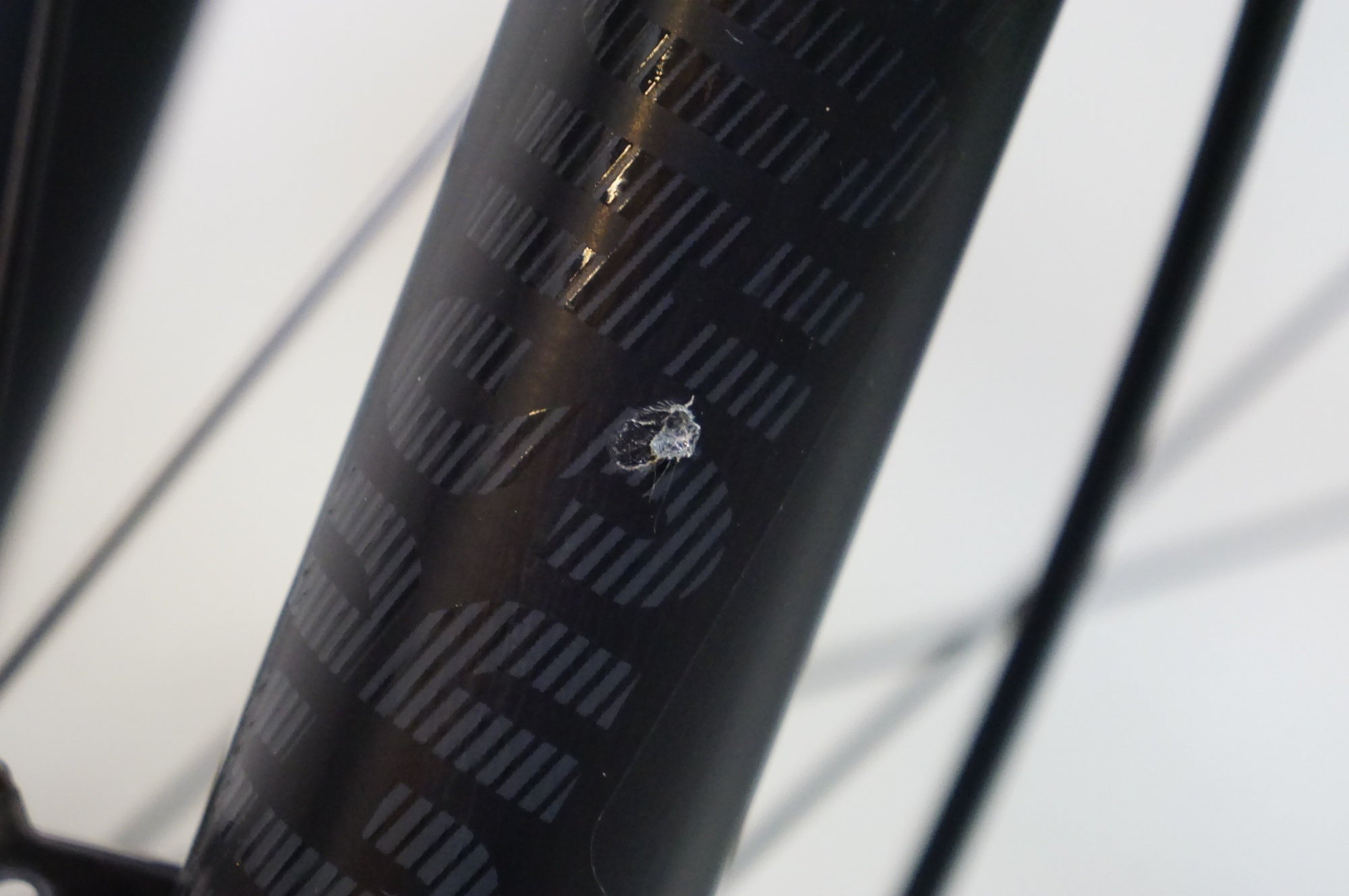 CANNONDALE 「キャノンデール」 CUJO2 2020年モデル マウンテンバイク / 熊谷本店