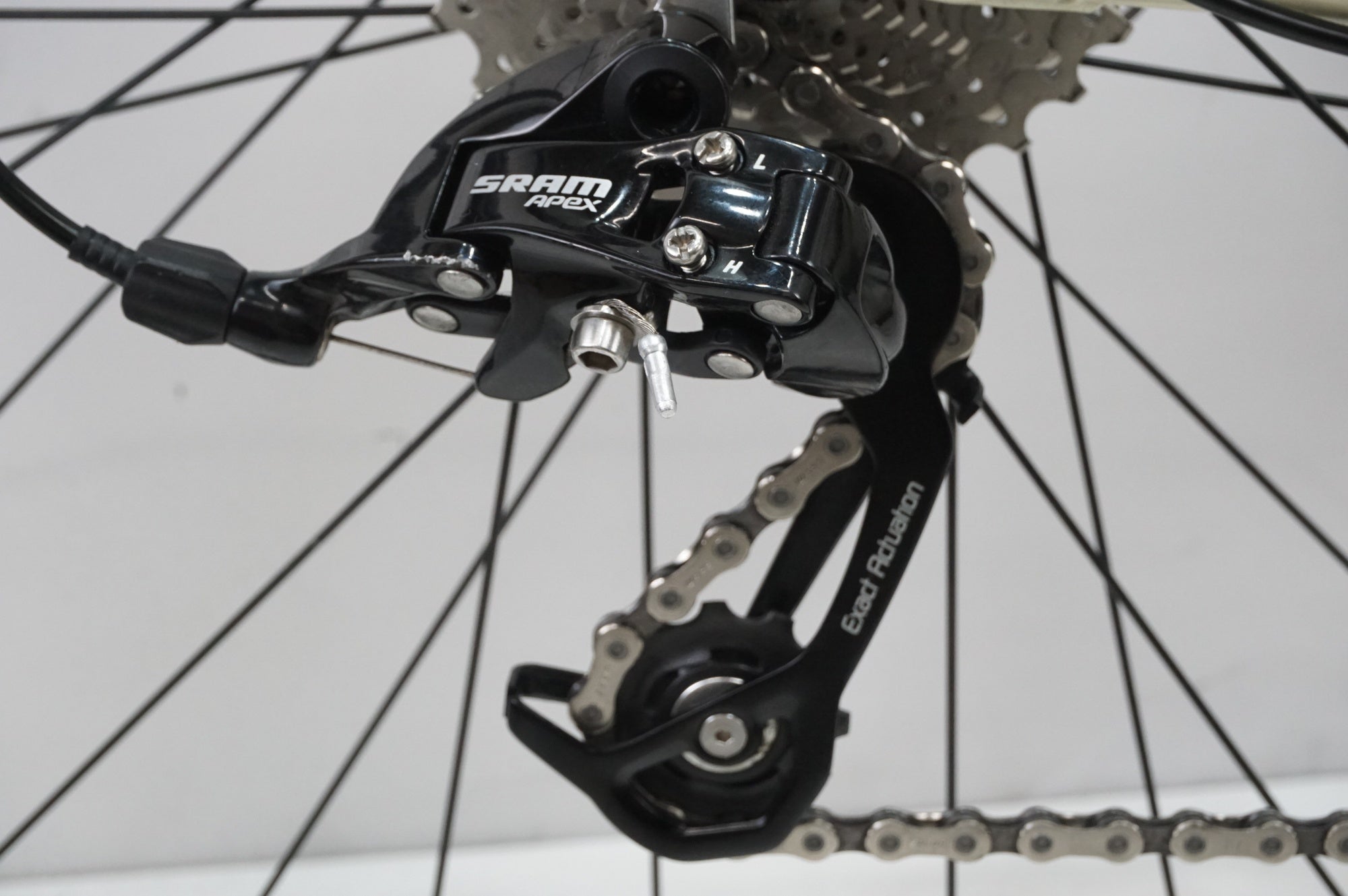 ALL CITY 「オールシティ」 SPACE HORSE DISC 2019年モデル グラベルロードバイク / 大宮店