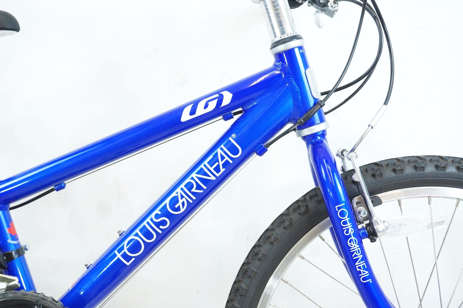 LOUIS GARNEAU 「ルイガノ」 LGS-J22 2019年モデル キッズバイク / 有明ガーデン店