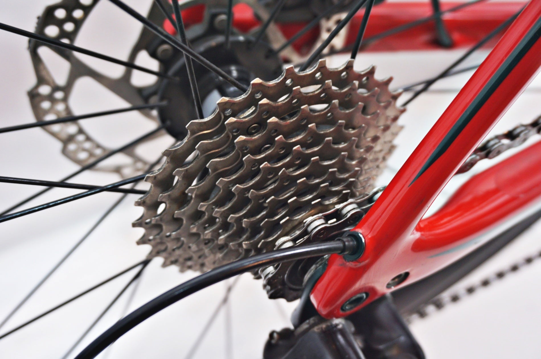 SPECIALIZED 「スペシャライズド」 ROUBAIX ELITE DISC 2019年モデル ロードバイク / バイチャリ世田谷店