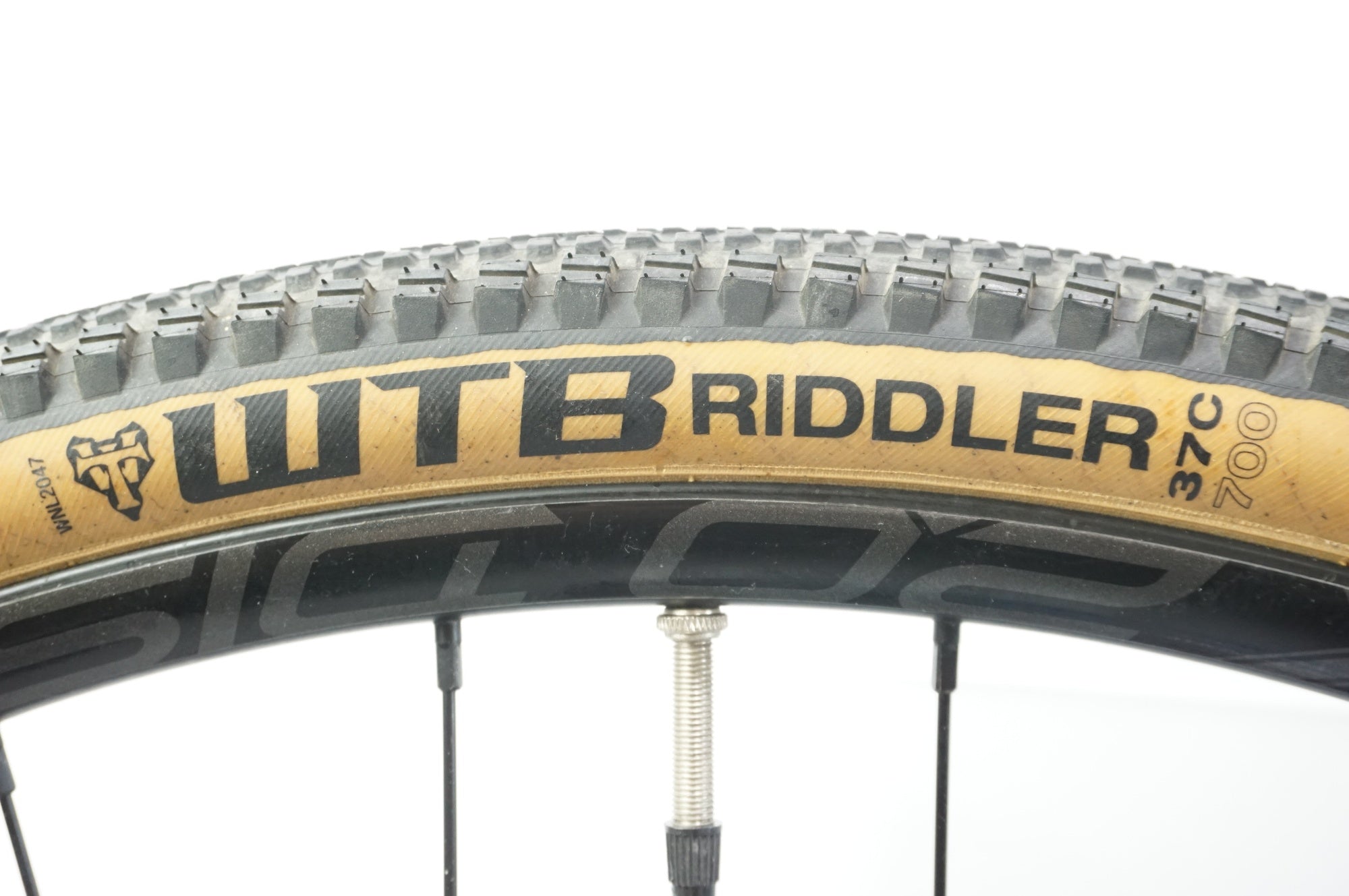 CANNONDALE 「キャノンデール」 TOPSTONE 4 2021年モデル グラベルロードバイク / バイチャリ浦和ベース