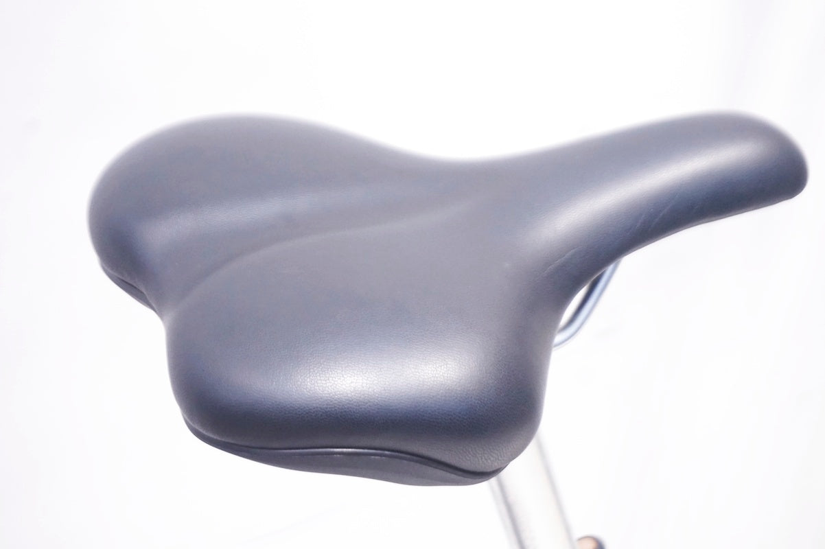 LOUIS GARNEAU 「ルイガノ」 MULTIWAY27 2024年モデル クロスバイク / 大阪門真店