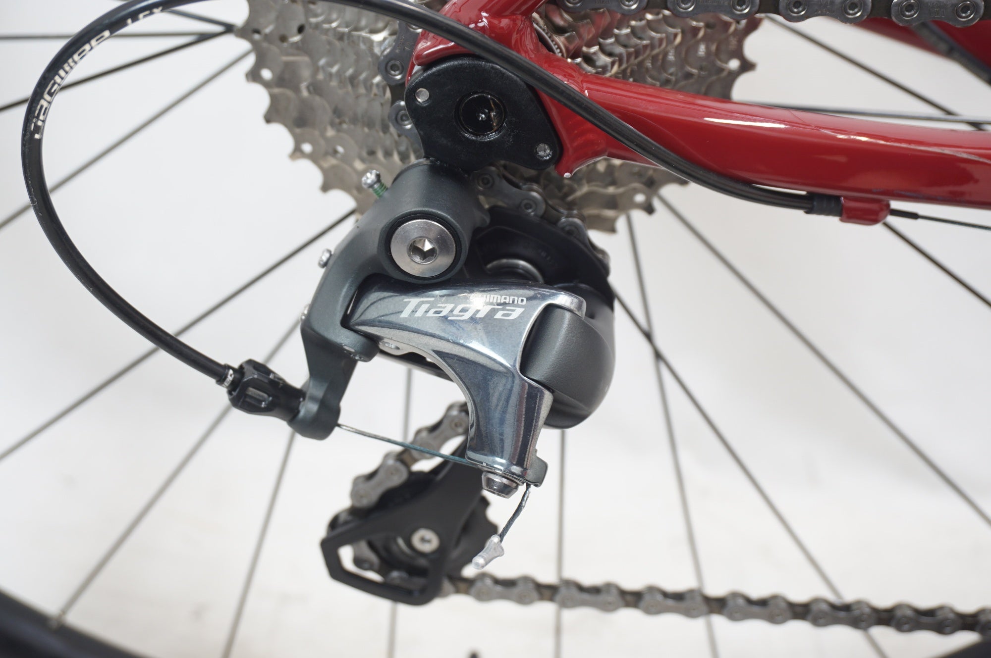 RIDREY 「リドレー」 FENIX SLA DISC 2025年モデル ロードバイク / 福岡アイランドシティ店