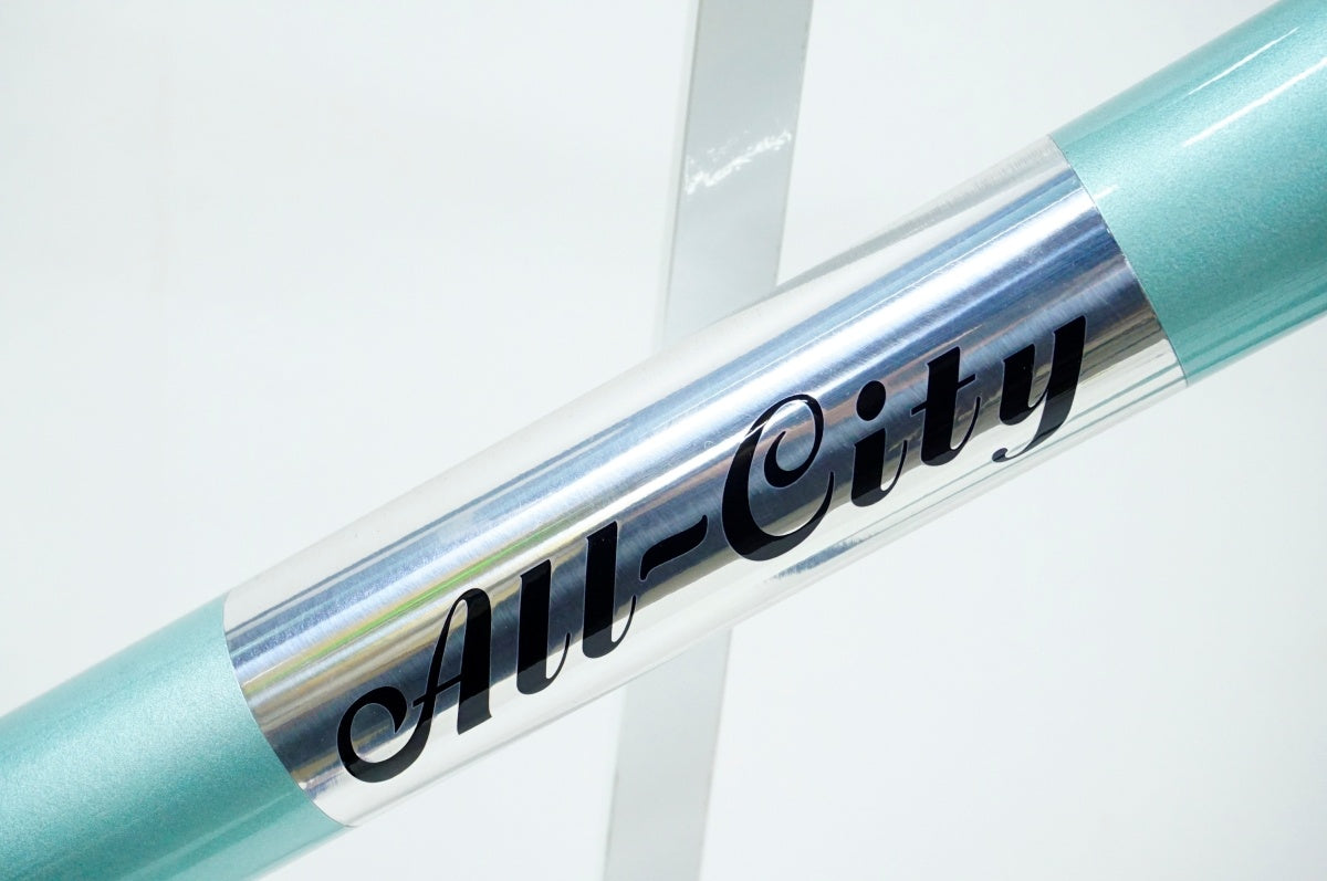 ALL CITY 「オールシティ」 THUNDERDOME 年式不明 フレームセット / 名古屋大須店