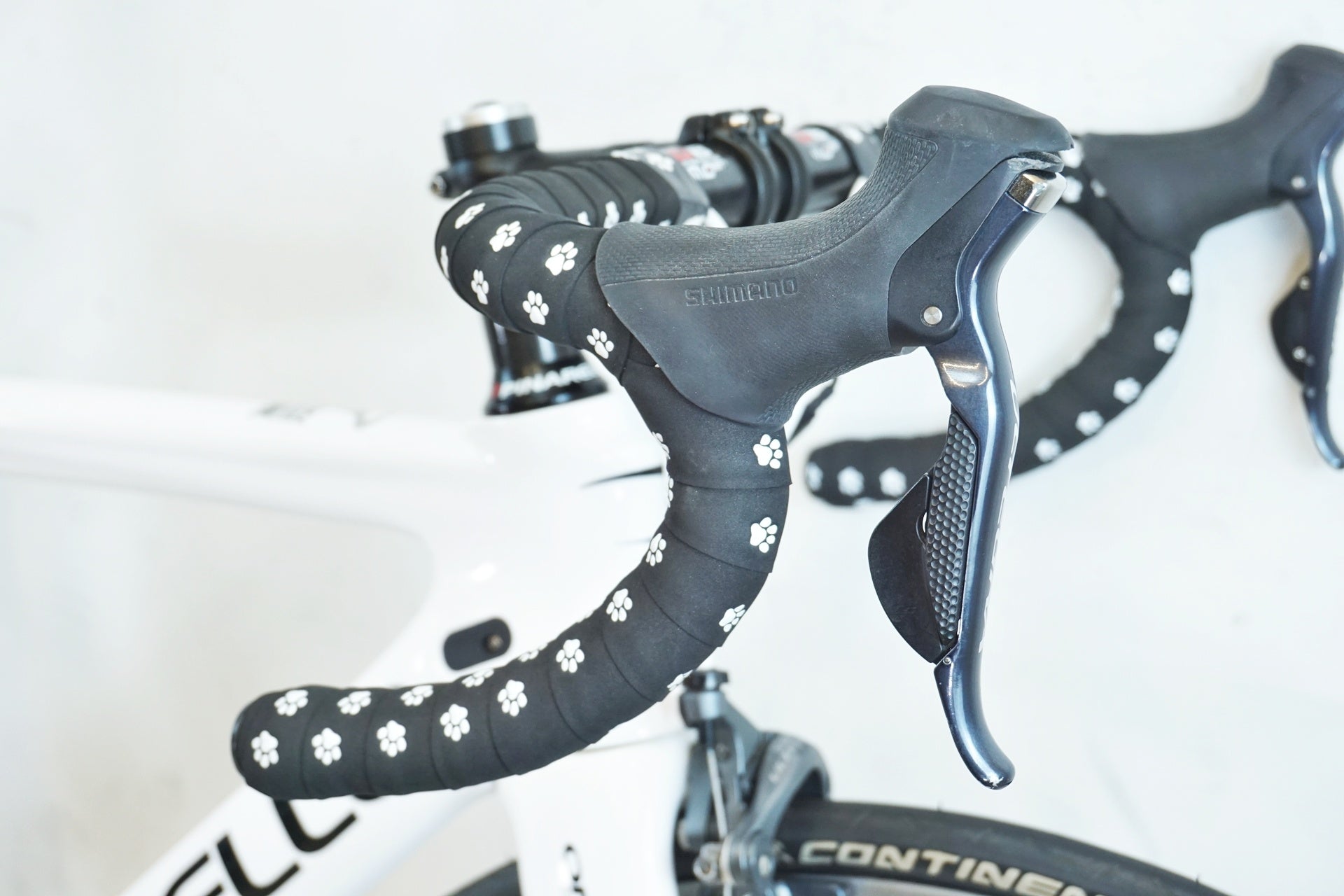 PINARELLO 「ピナレロ」 GAN 2017年モデル ロードバイク / 有明ガーデン店