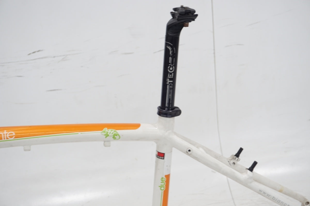 BIANCHI 「ビアンキ」 CAMELEONTE SPORT DUE 2013年モデル フレームセット / 滋賀大津店