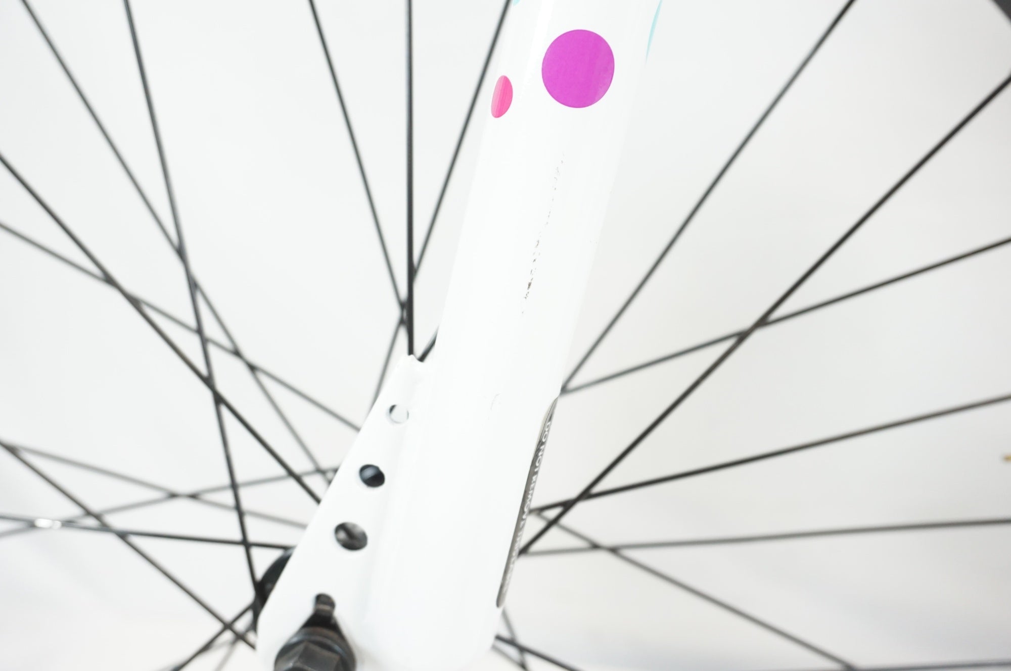 MARIN 「マリン」 DONKY JR 22 2020年モデル キッズバイク / 宇都宮店