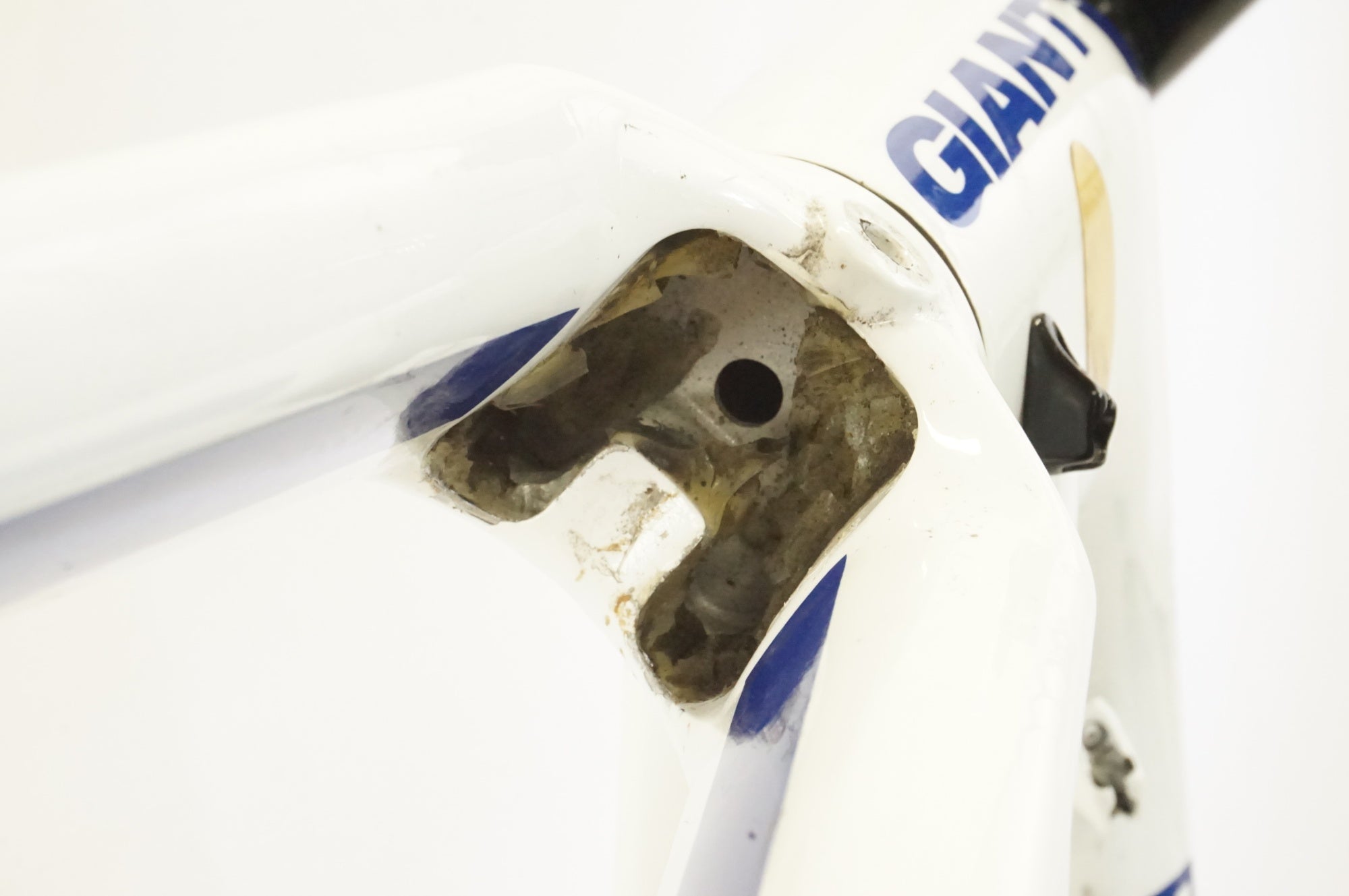 GIANT 「ジャイアント」 TCR ADVANCED RABOBANK 2009年モデル フレームセット / 宇都宮店