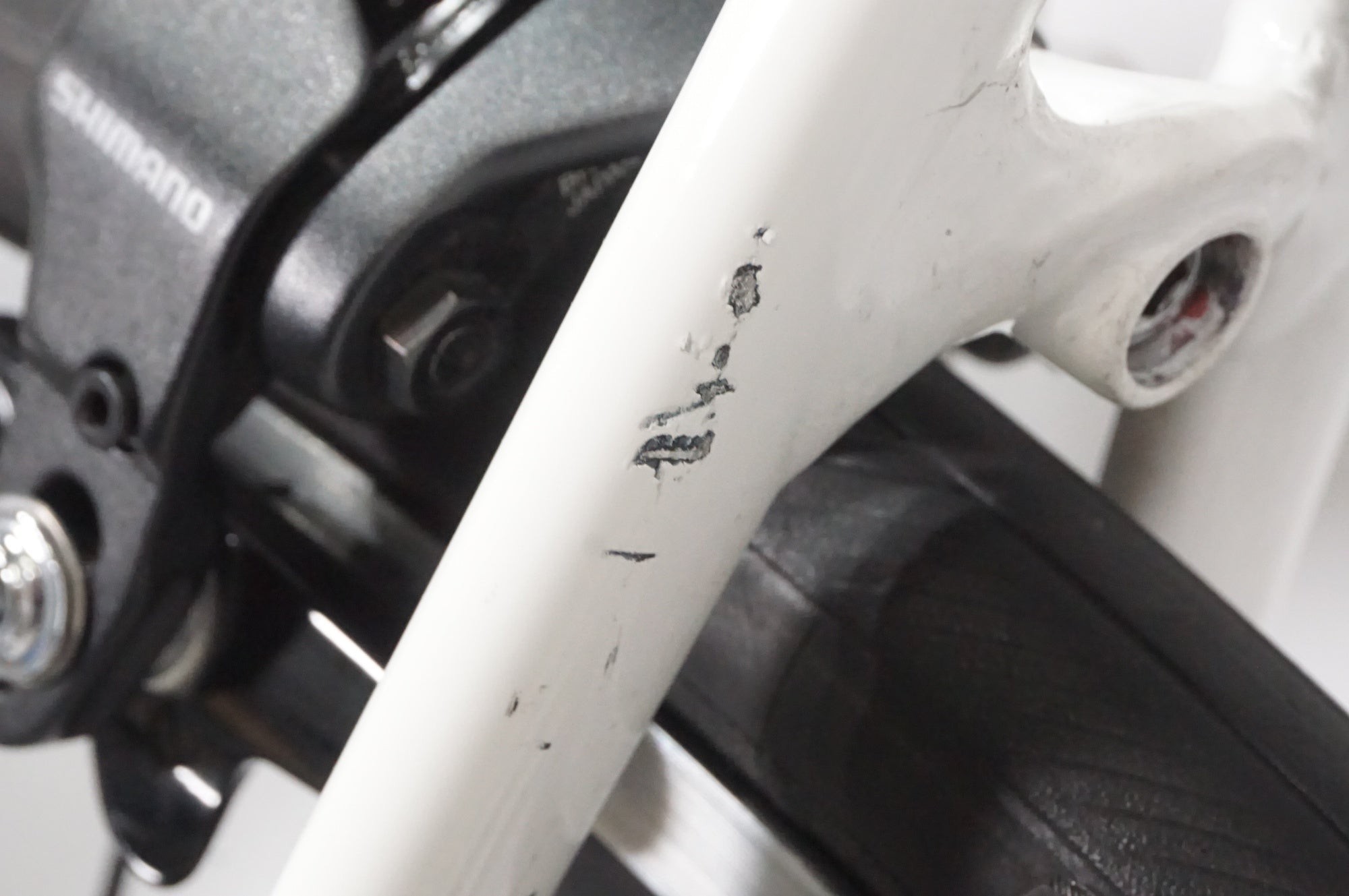 FELT 「フェルト」 FR30 2020年モデル ロードバイク / AKIBA店