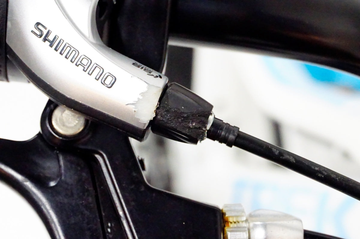 TREK 「トレック」 PRECALIBER GIRLS 20インチ 2020-2022年モデル キッズバイク / 名古屋大須店