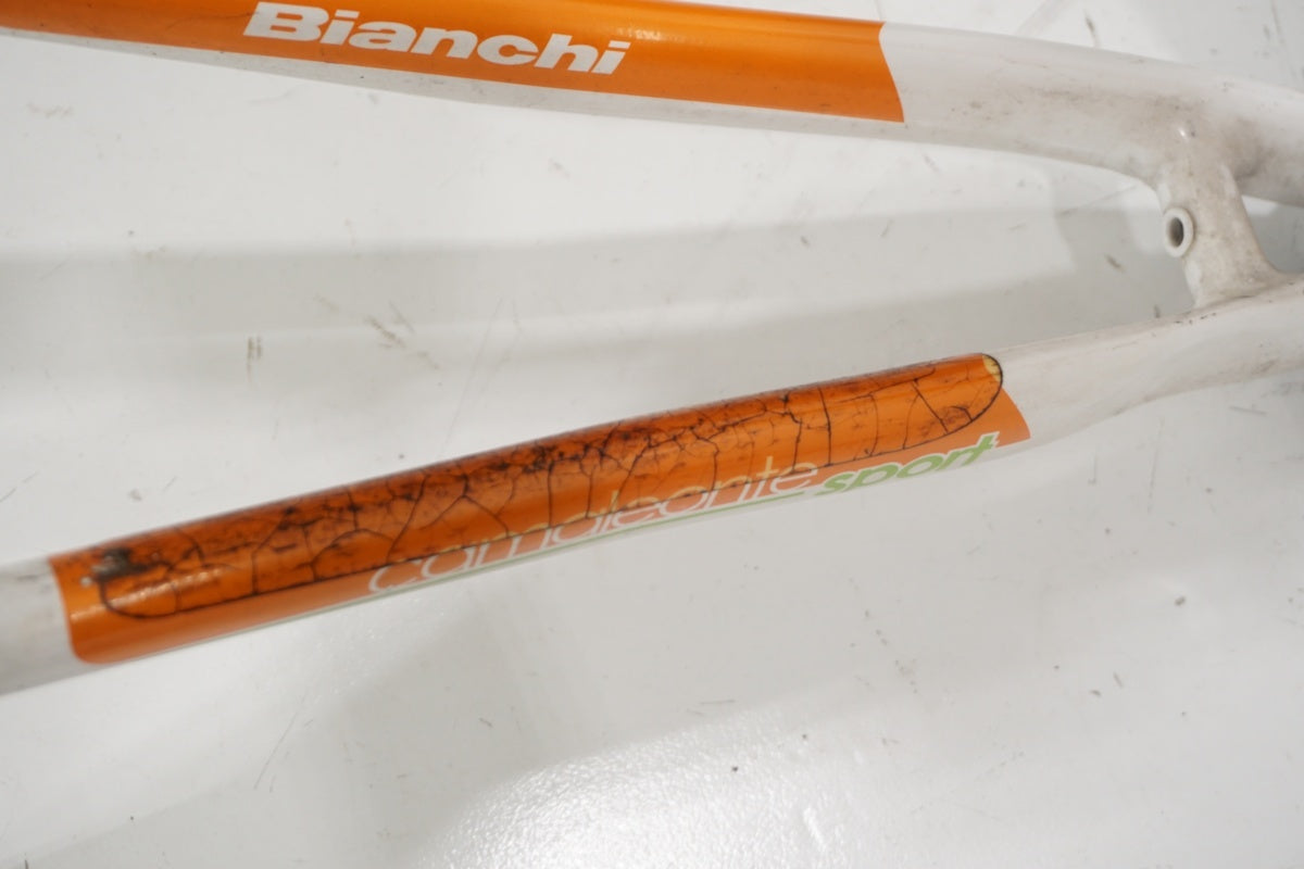 BIANCHI 「ビアンキ」 CAMELEONTE SPORT DUE 2013年モデル フレームセット / 滋賀大津店