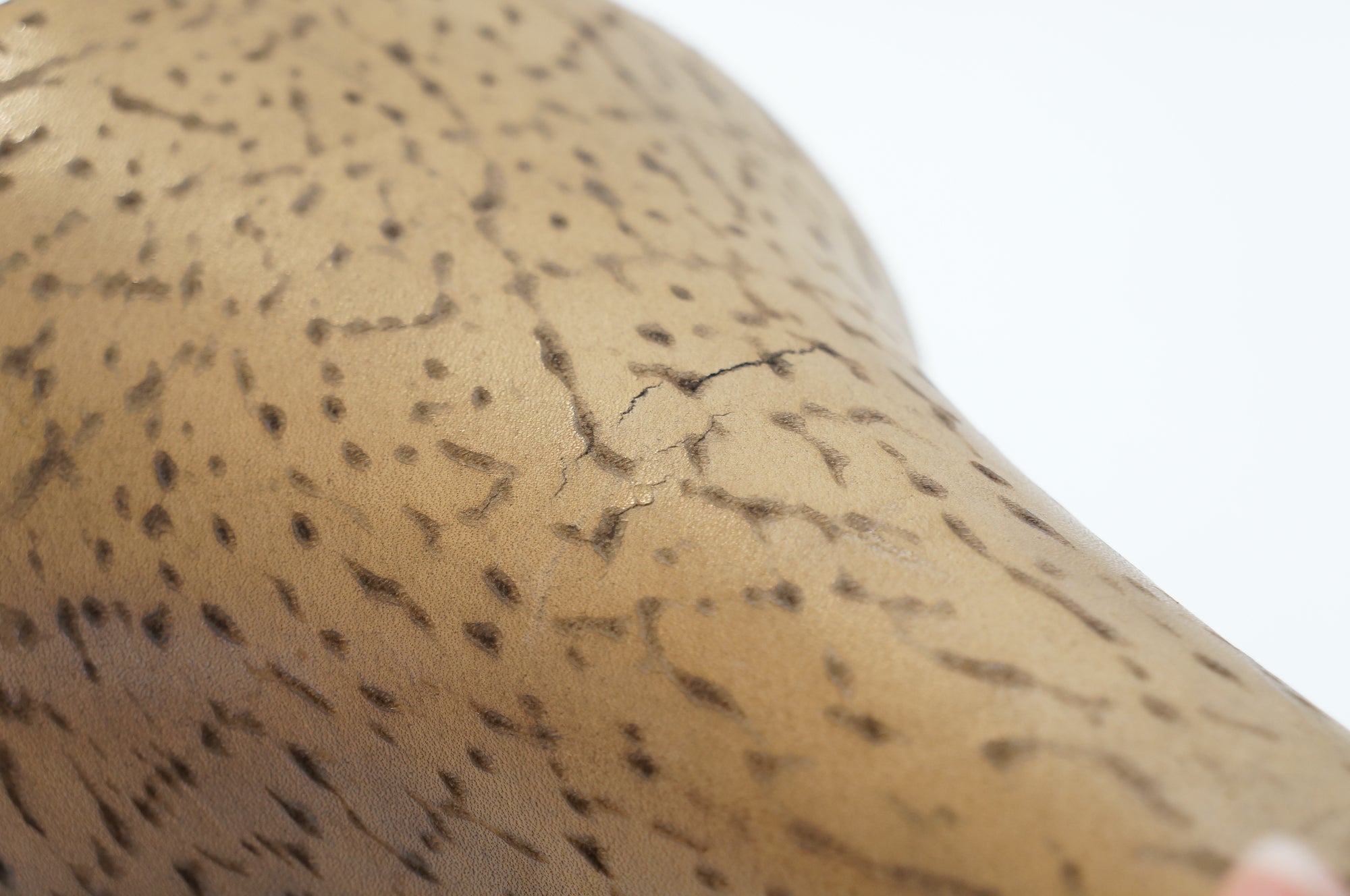 SELLE SAN MARCO 「セラ サンマルコ」 ROLLS サドル / バイチャリ浦和ベース