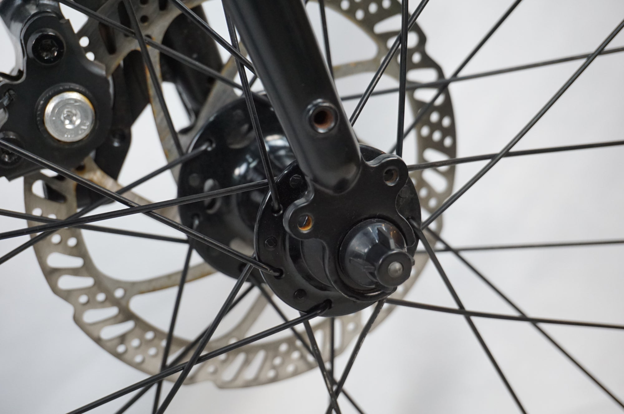 TERN 「ターン」 AMP F1 2025年モデル ミニベロ/ 川越店