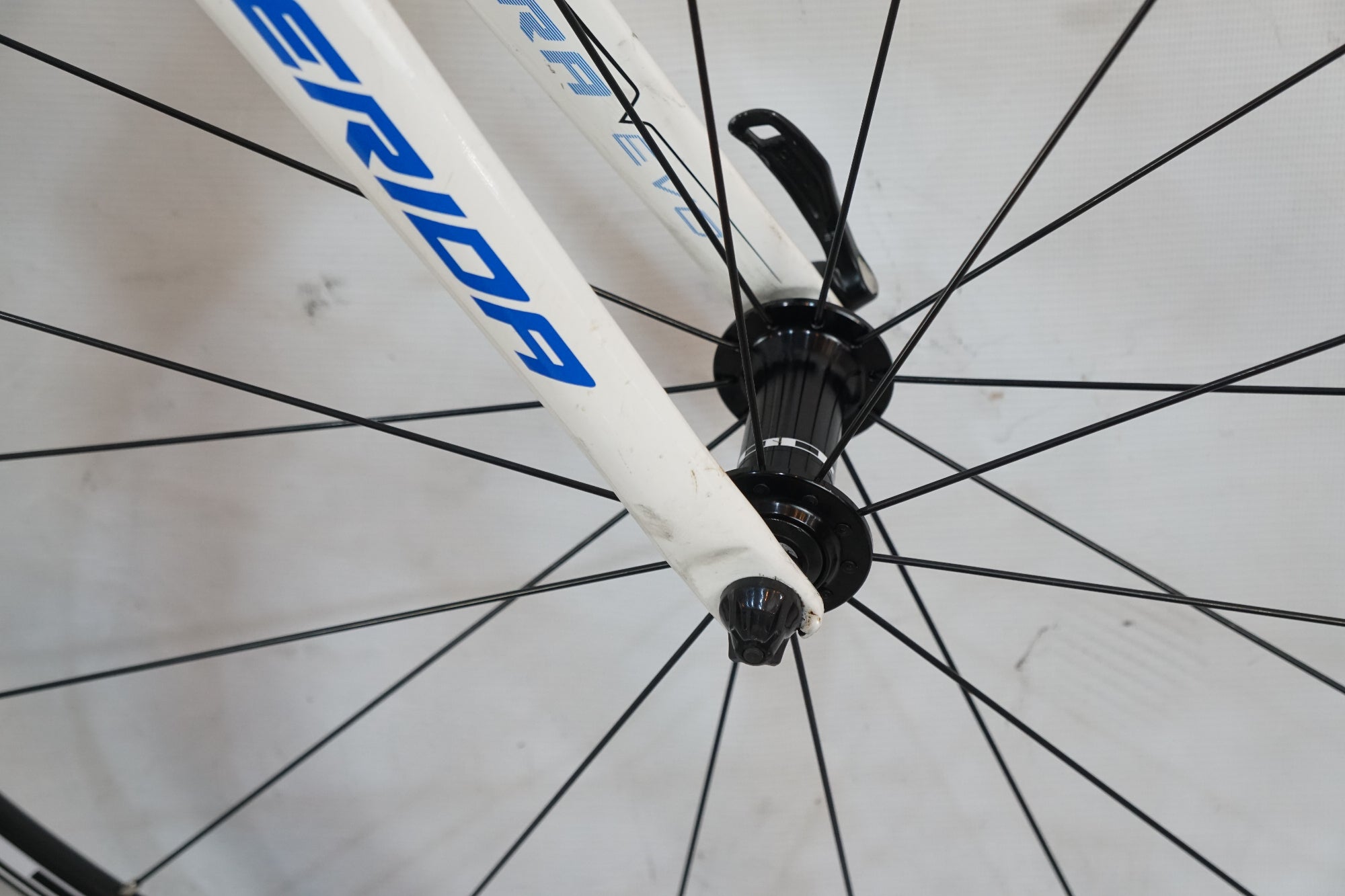 MERIDA 「メリダ」 SCULTURA EVO 901 2012年モデル ロードバイク / バイチャリ浦和ベース