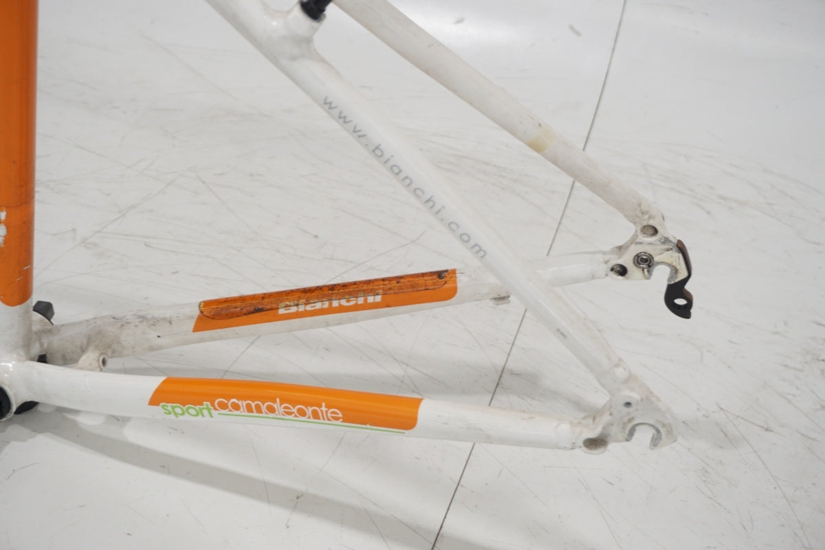 BIANCHI 「ビアンキ」 CAMELEONTE SPORT DUE 2013年モデル フレームセット / 滋賀大津店