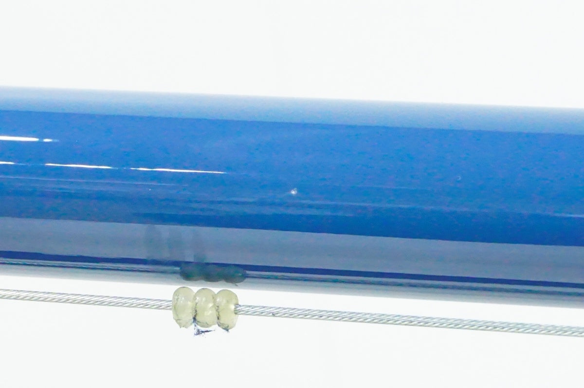 FUJI 「フジ」 STROLL 2025年モデル ピストバイク / 名古屋大須店