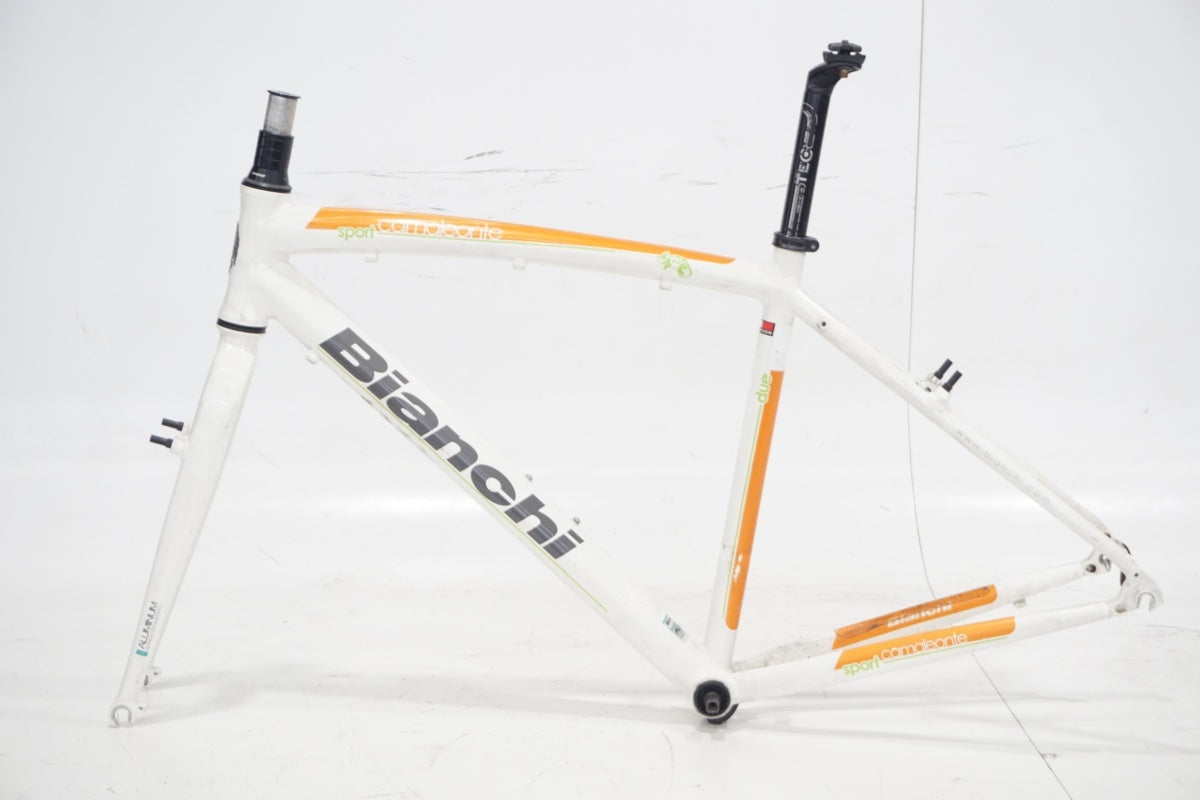 BIANCHI 「ビアンキ」 CAMELEONTE SPORT DUE 2013年モデル フレームセット / 滋賀大津店